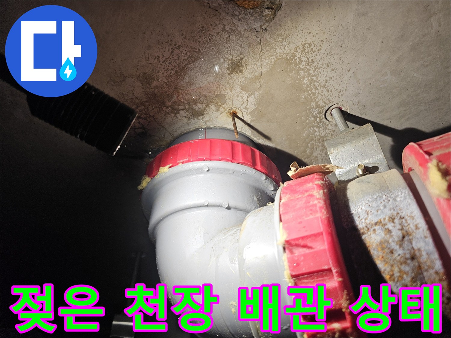 욕실 천장 구조물-배관 주변의 젖은 콘크리트와 물얼룩