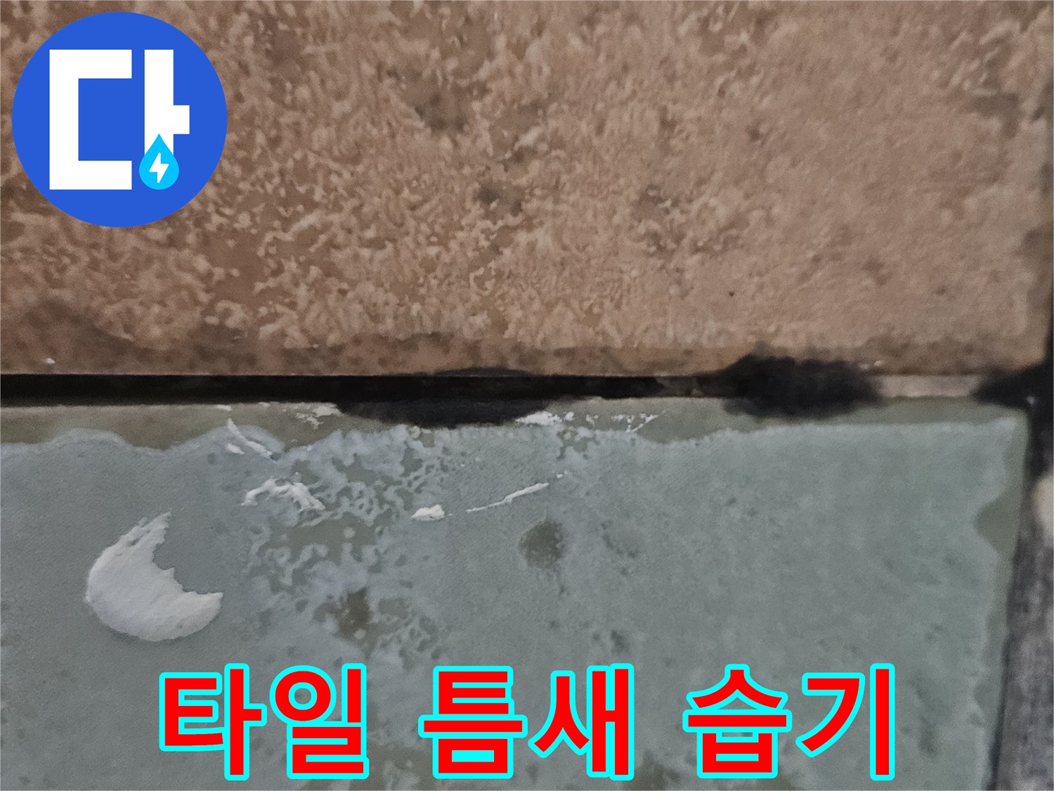 물기가 스며든 타일 사이의 벌어진 틈