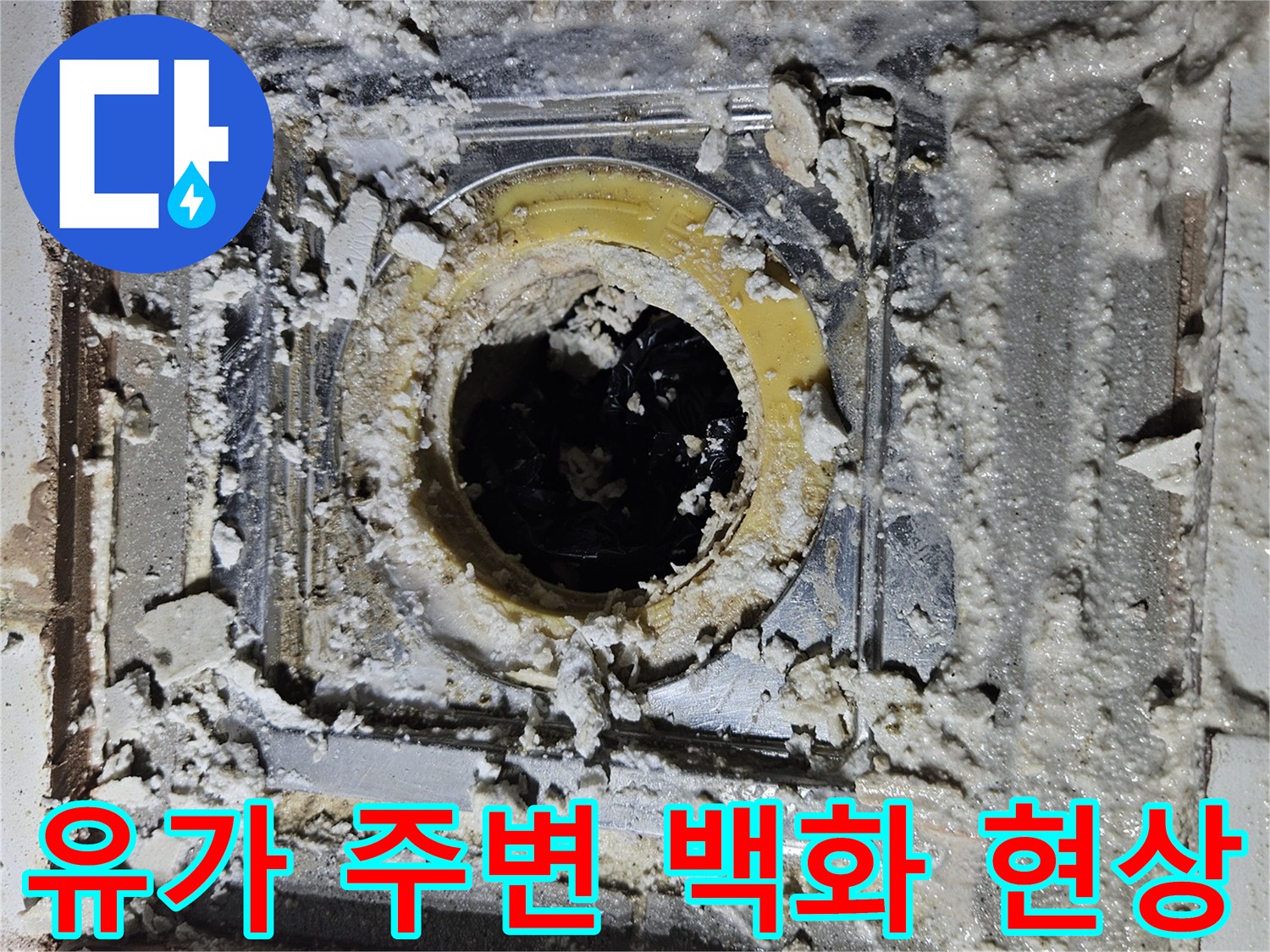 배수관-연결부-주변에-발생한-심각한-백화현상-사진