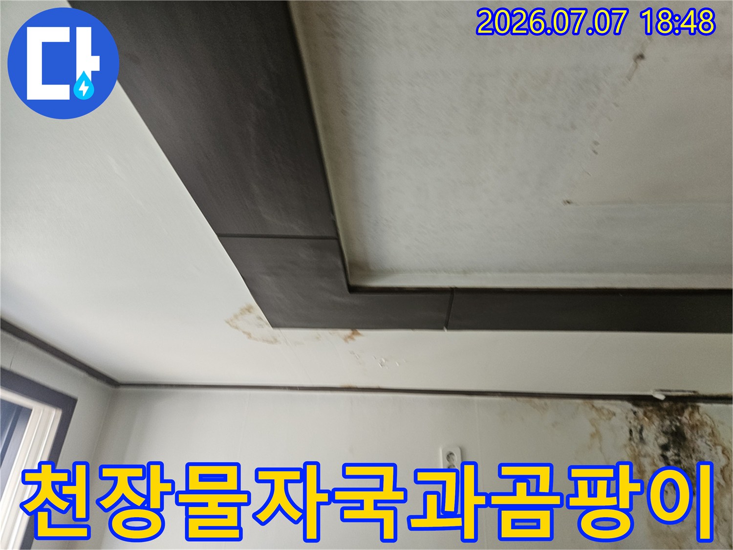 아파트 천장 벽면의 누수 흔적과 곰팡이가 발생한 현장 모습