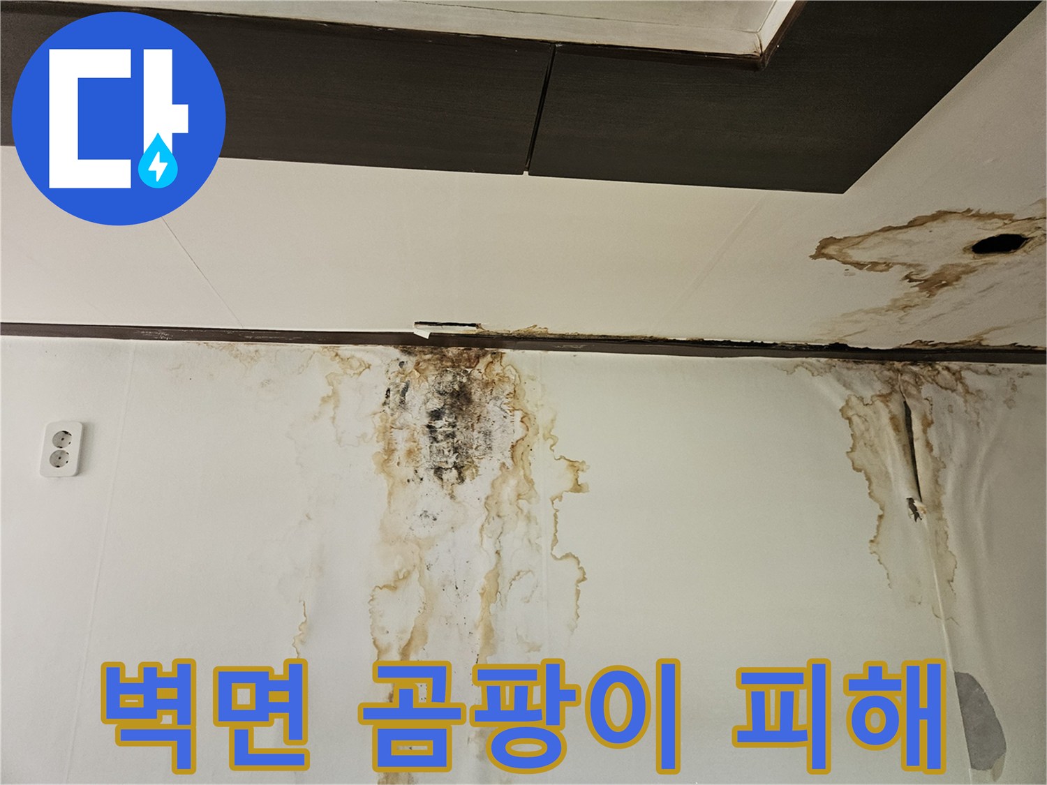 천장-및-벽면-하단부-곰팡이-번짐-현상