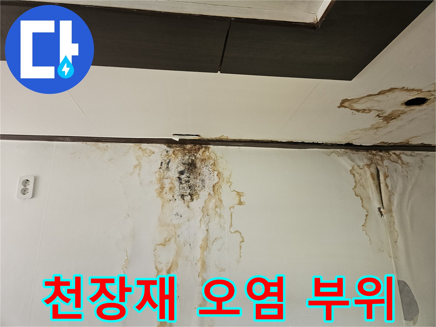 천장 텍스 경계면의 갈색 물 자국과 오염 상태