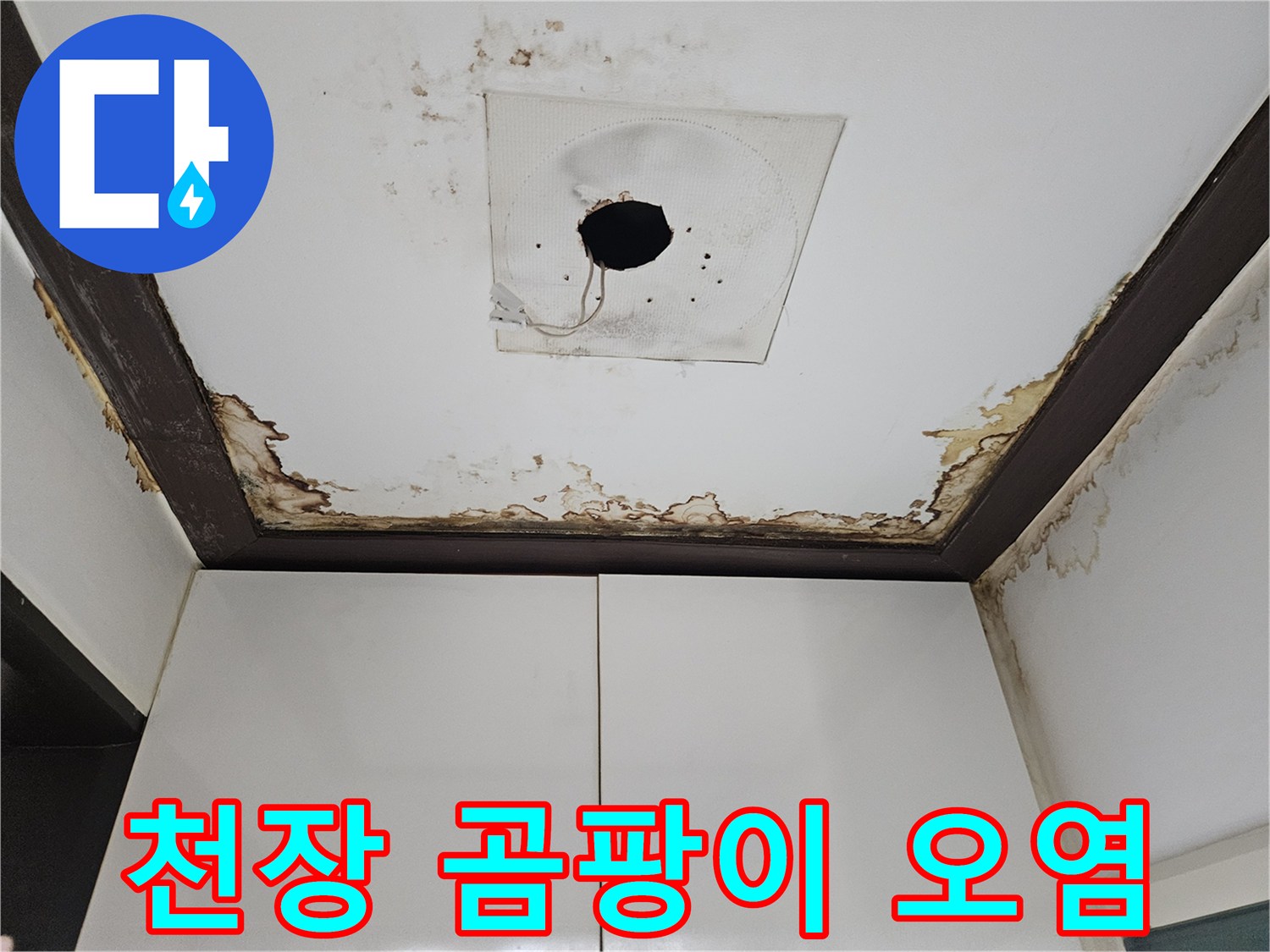 천장재 주변으로 번진 갈색 얼룩과 곰팡이 증상