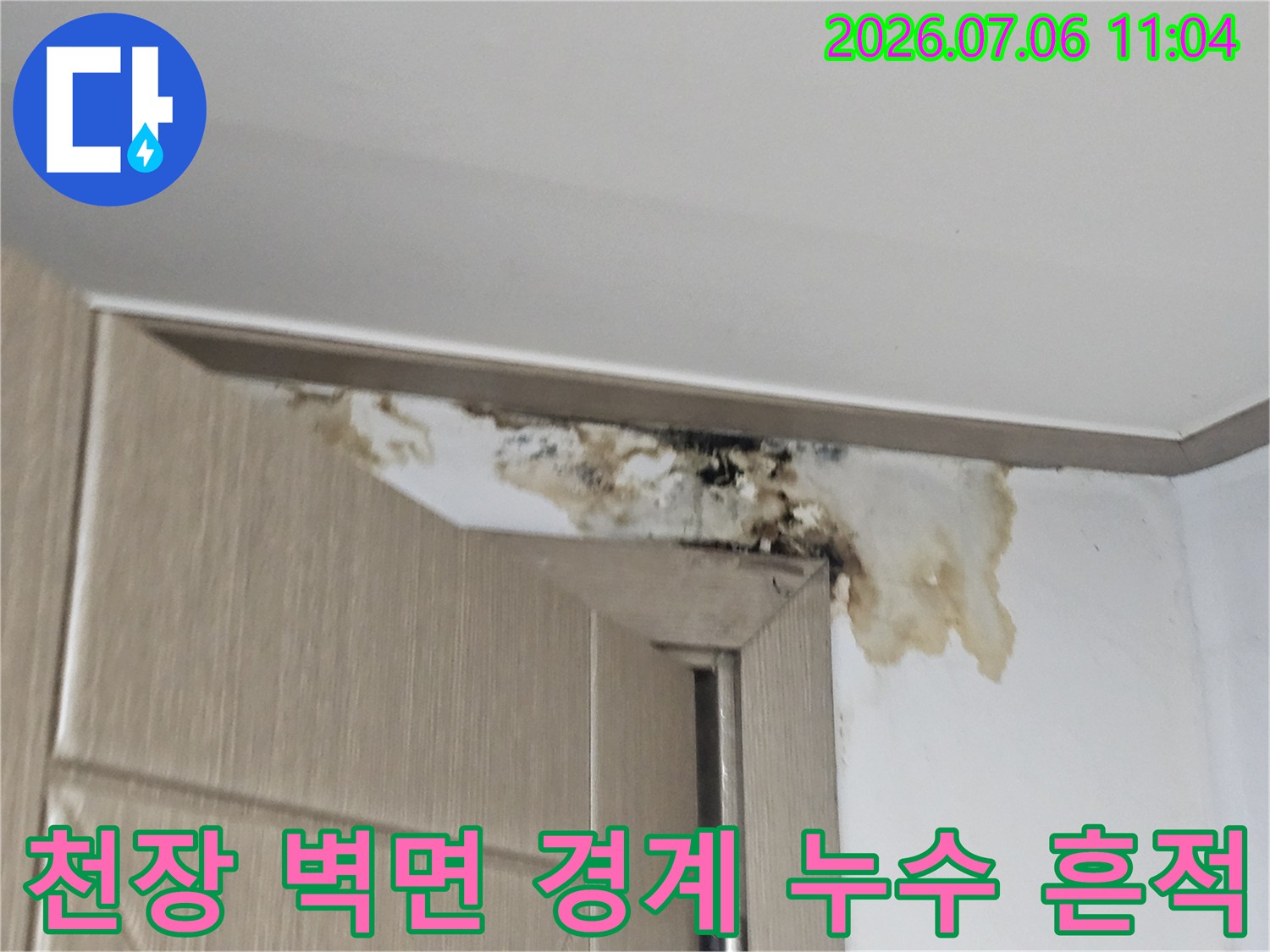 곰팡이와 물자국으로 훼손된 지하 천장 모서리 부위