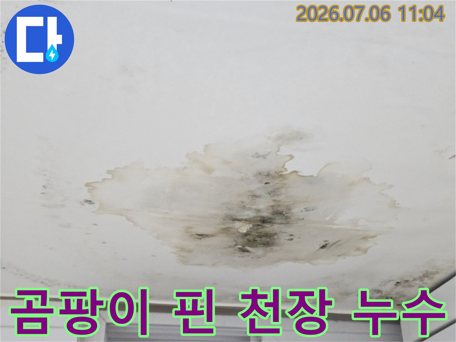 습기로 인해 변색되고 곰팡이가 발생한 천장 면