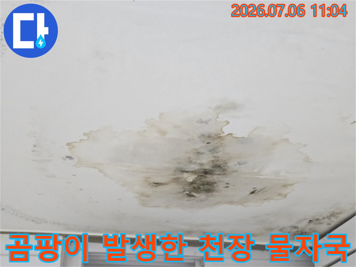 습기로 인해 훼손된 천장면과 곰팡이가 번진 누수 구역