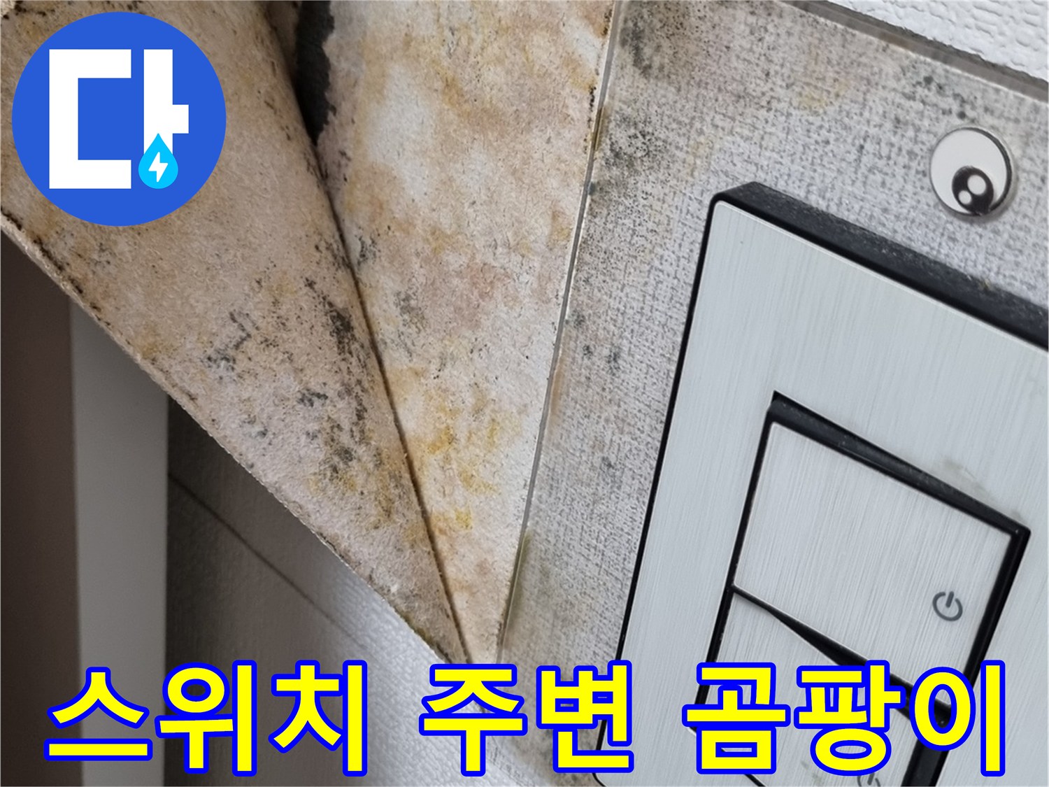 누수로 인해 변색되고 젖은 천장 벽지