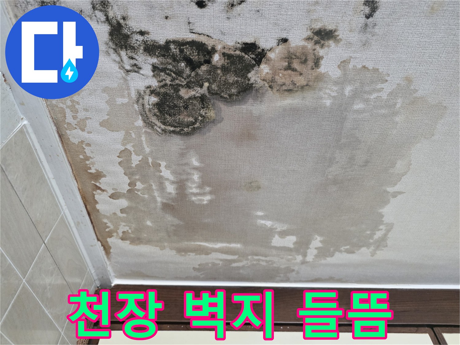 누수로-젖어있는-천장-벽지-상태