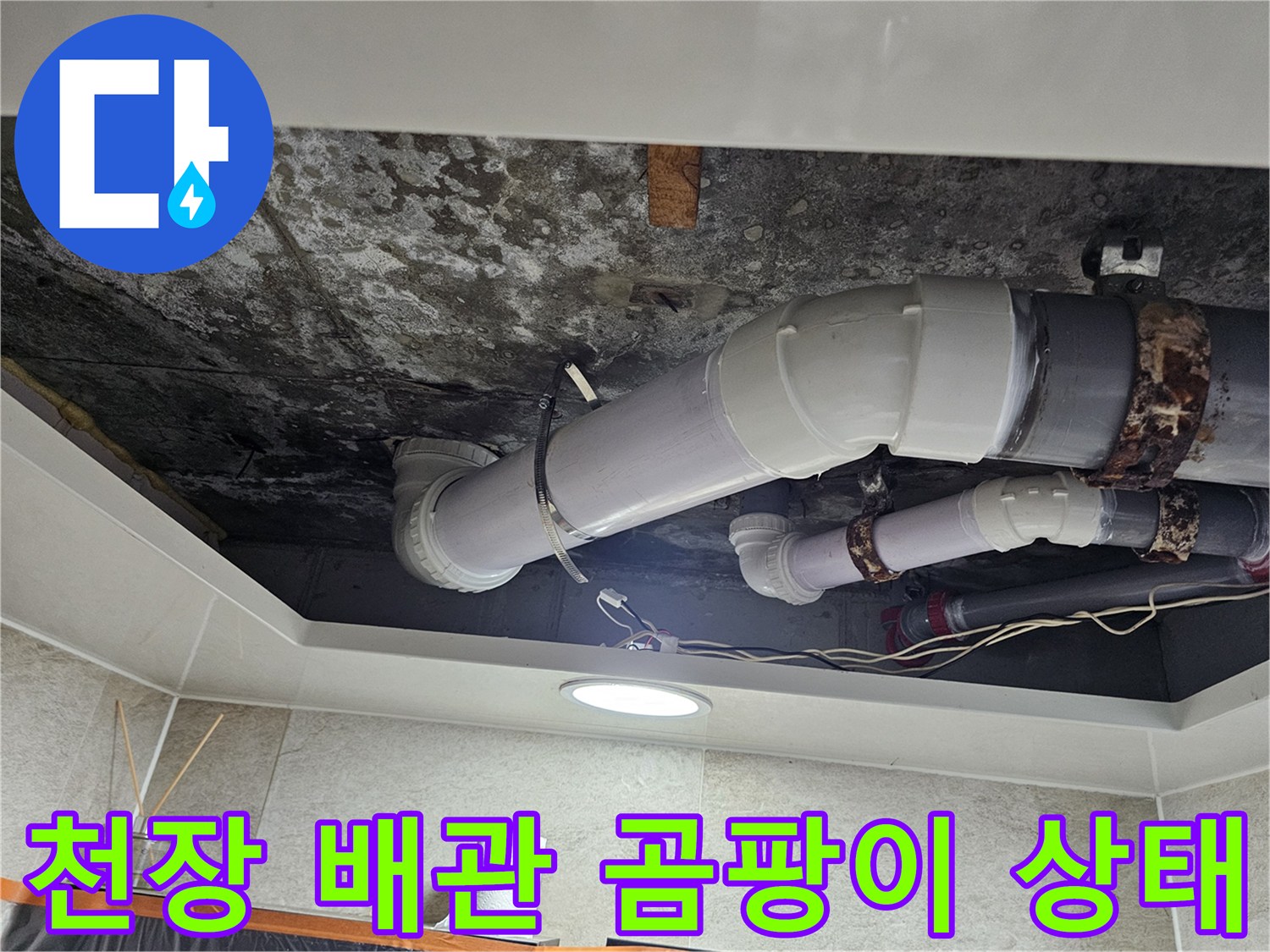 화장실-천장-내부-배관-곰팡이와-오염-상태