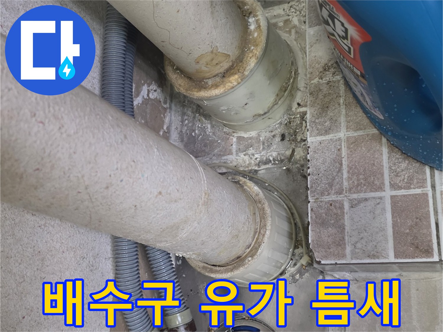하수구-유가와-배관-사이의-빈틈