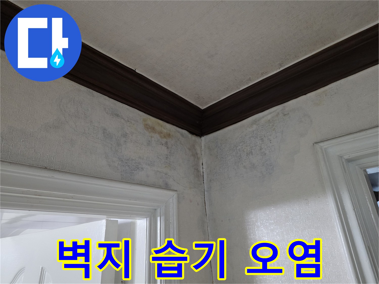 벽면-상단부-습기로-젖은-벽지