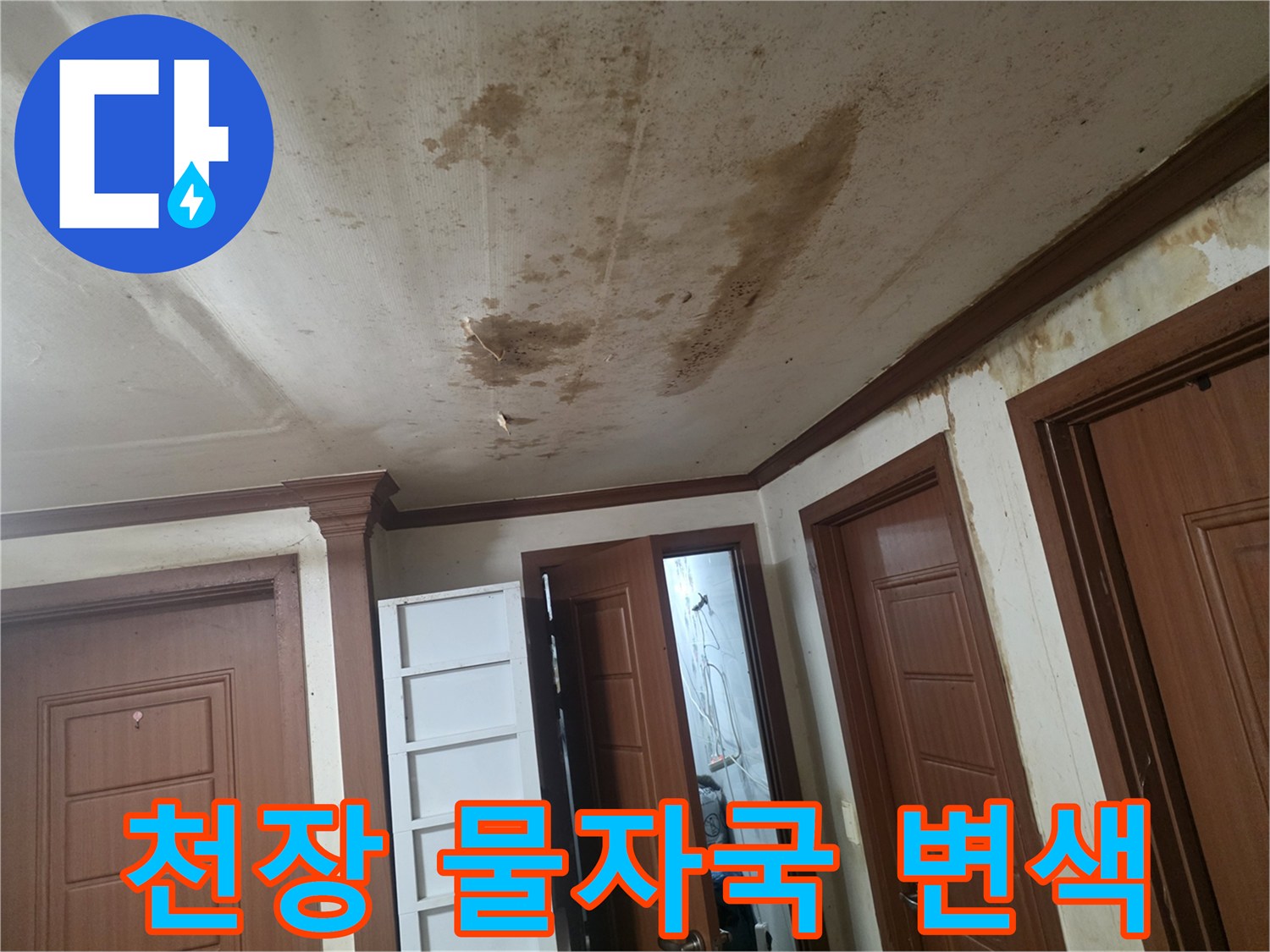 거실 천장에 넓게 퍼진 누수 얼룩