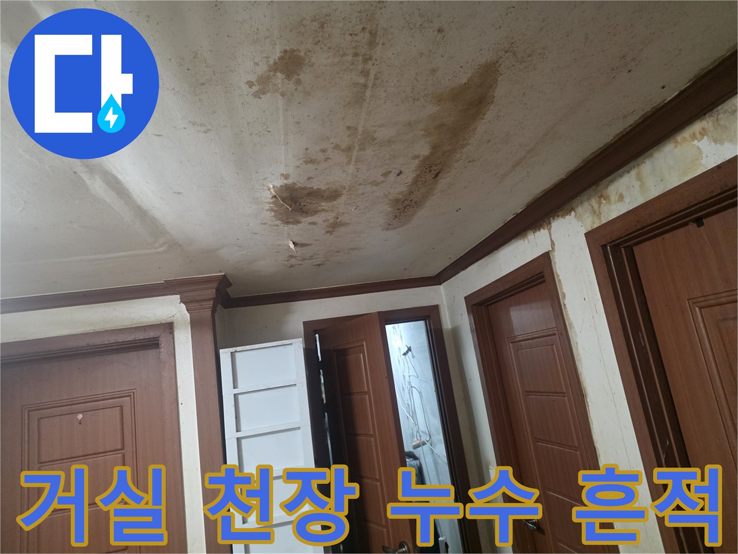 광범위하게-퍼진-천장-누수-얼룩-사진