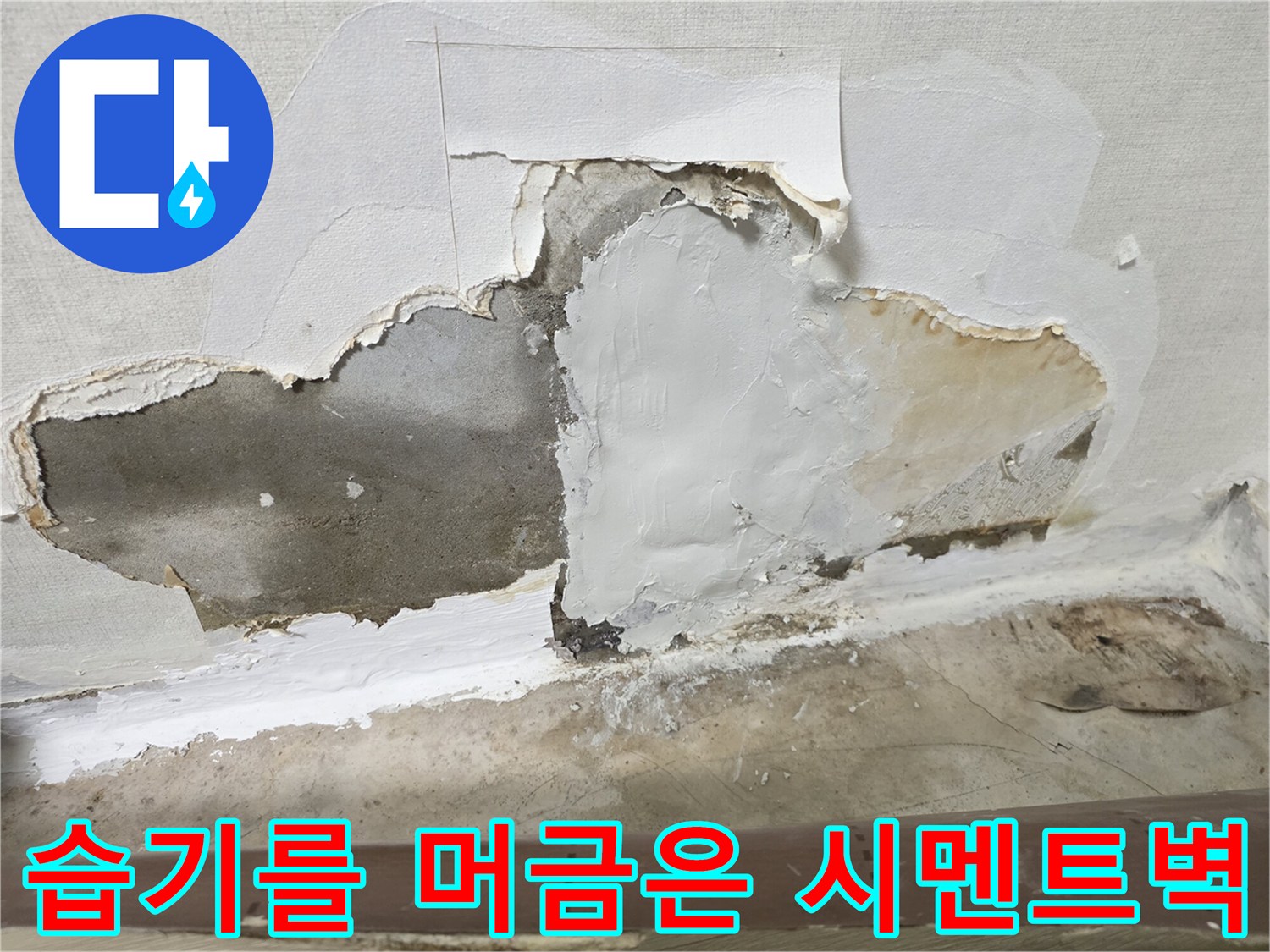 물에-젖어-변색된-시멘트층