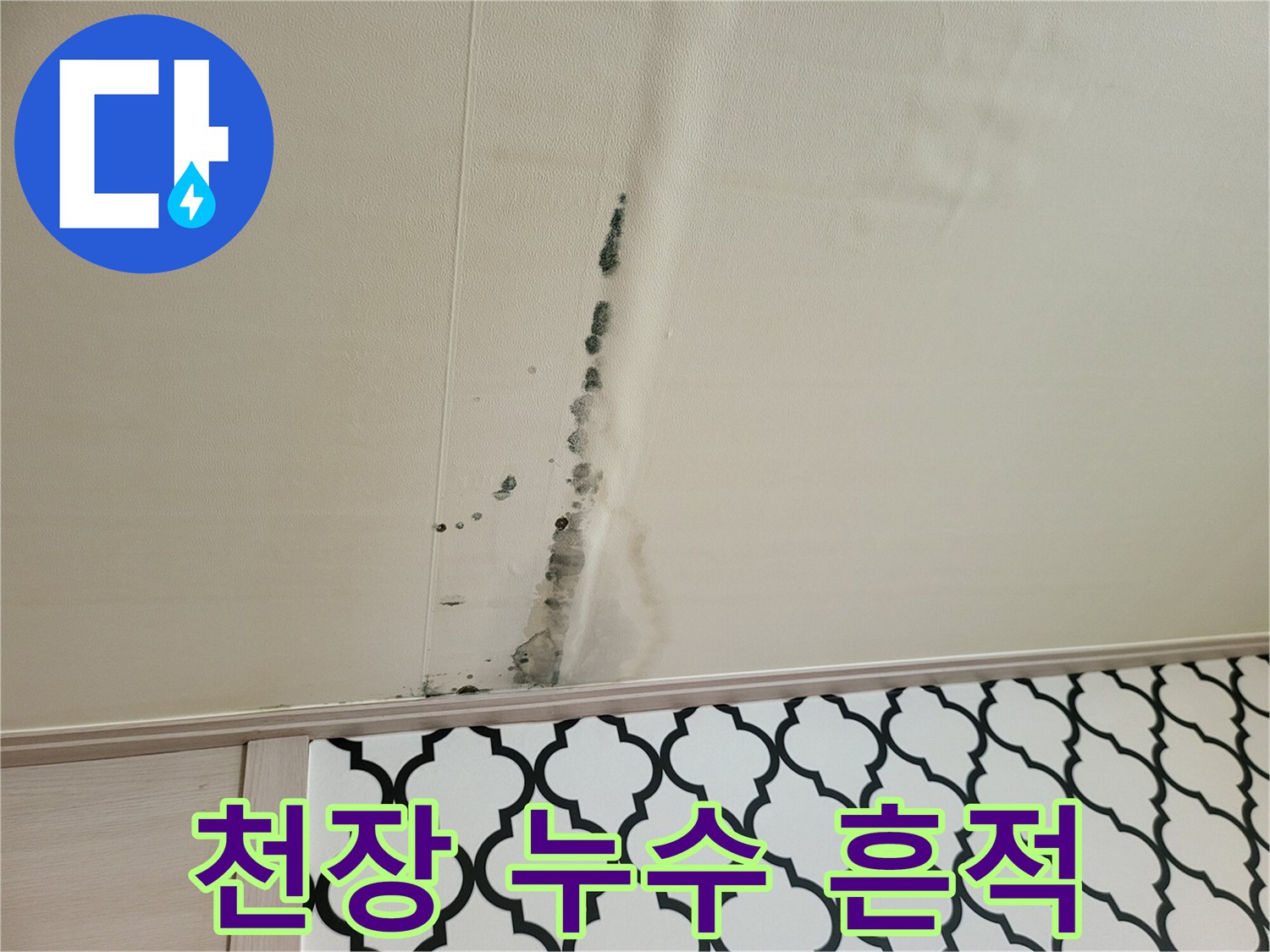 검은 곰팡이가 발생한 천장 벽지 오염 부위