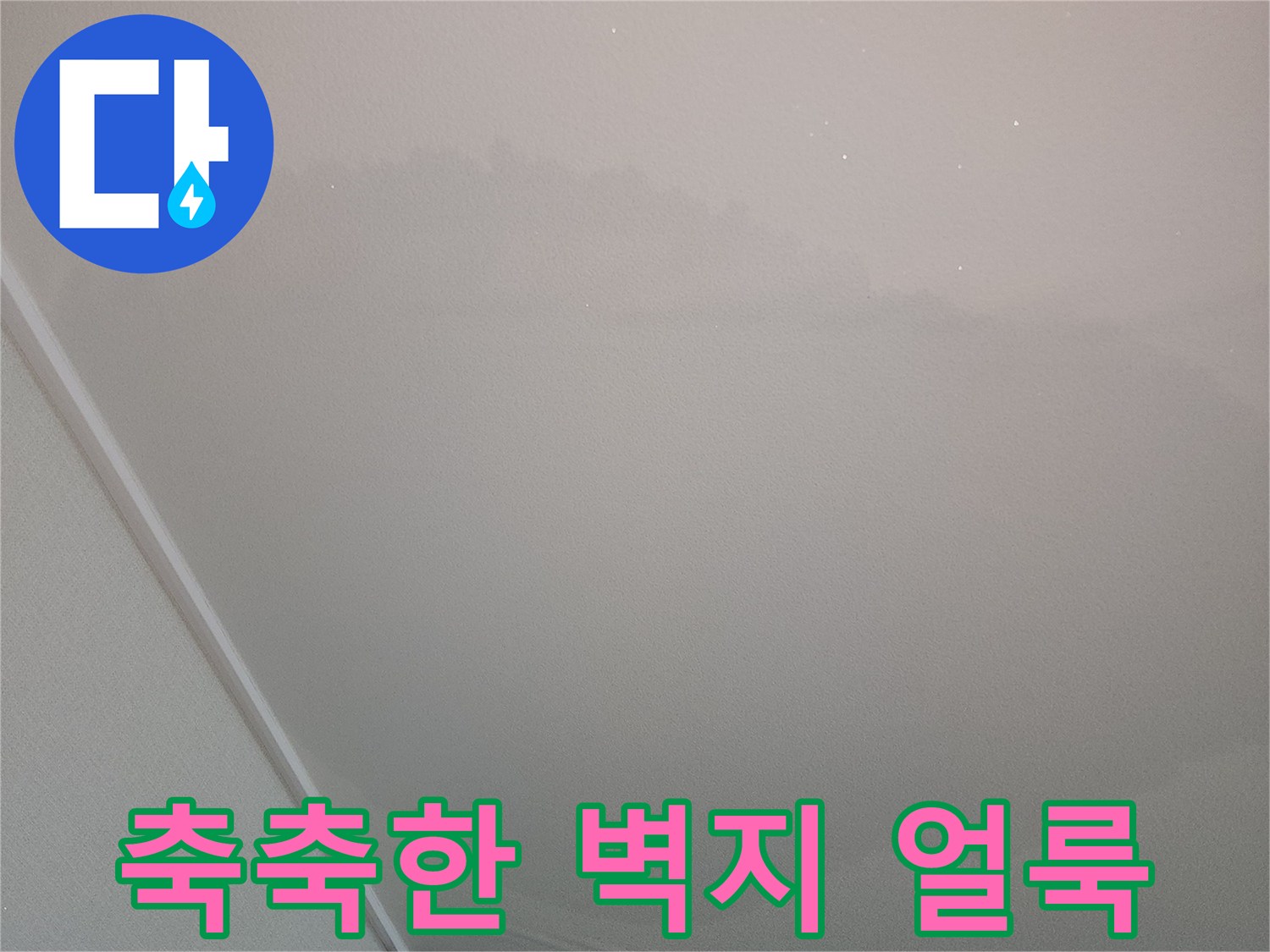 물기에 젖어 어둡게 변한 아파트 내부 벽면