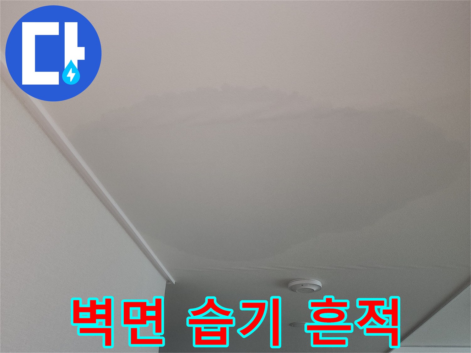 아파트-내부-벽면에-번진-누수-흔적-사진