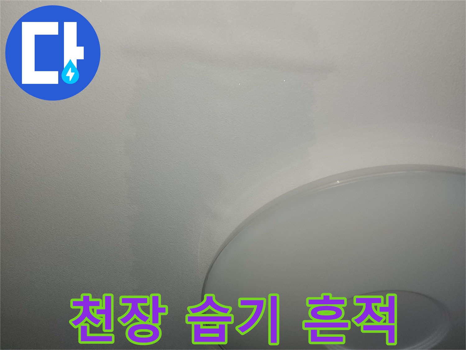 천장 벽지가 젖어 변색된 상태의 사진