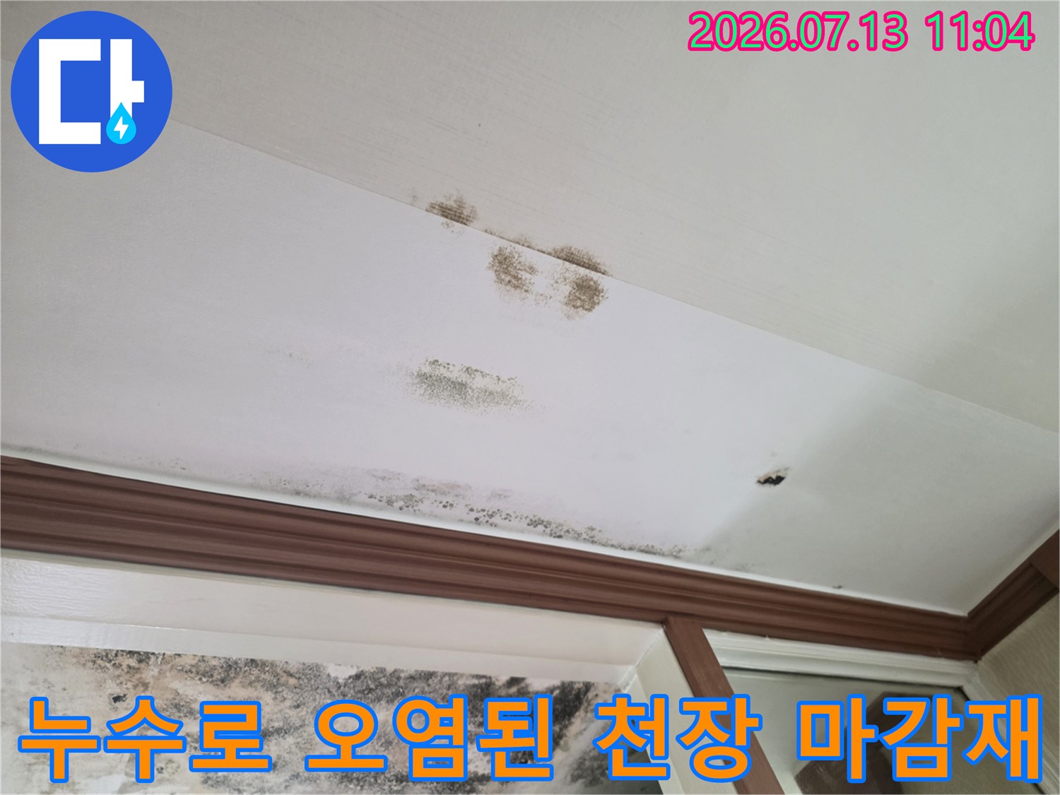 곰팡이가 발생하고 물이 스며든 현관 입구의 천장 모습