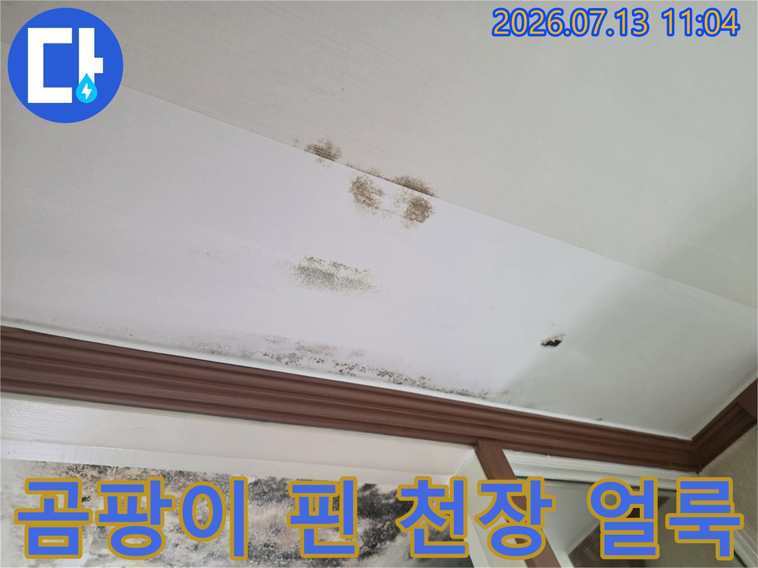 누수로 인한 지속적인 습기 유입으로 오염된 천장면