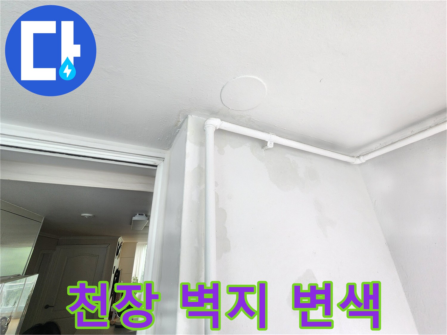 흰색 벽면과 천장 경계에 나타난 짙은 물자국과 얼룩