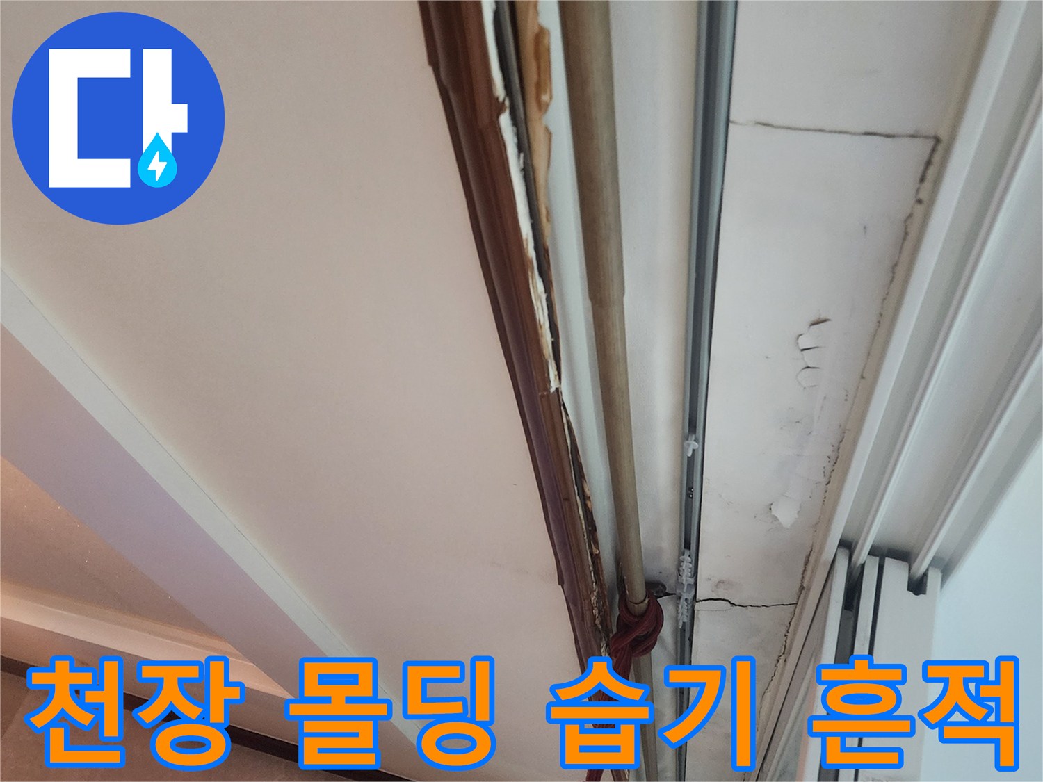 물샘으로 인해 젖어 있는 천장 접합부