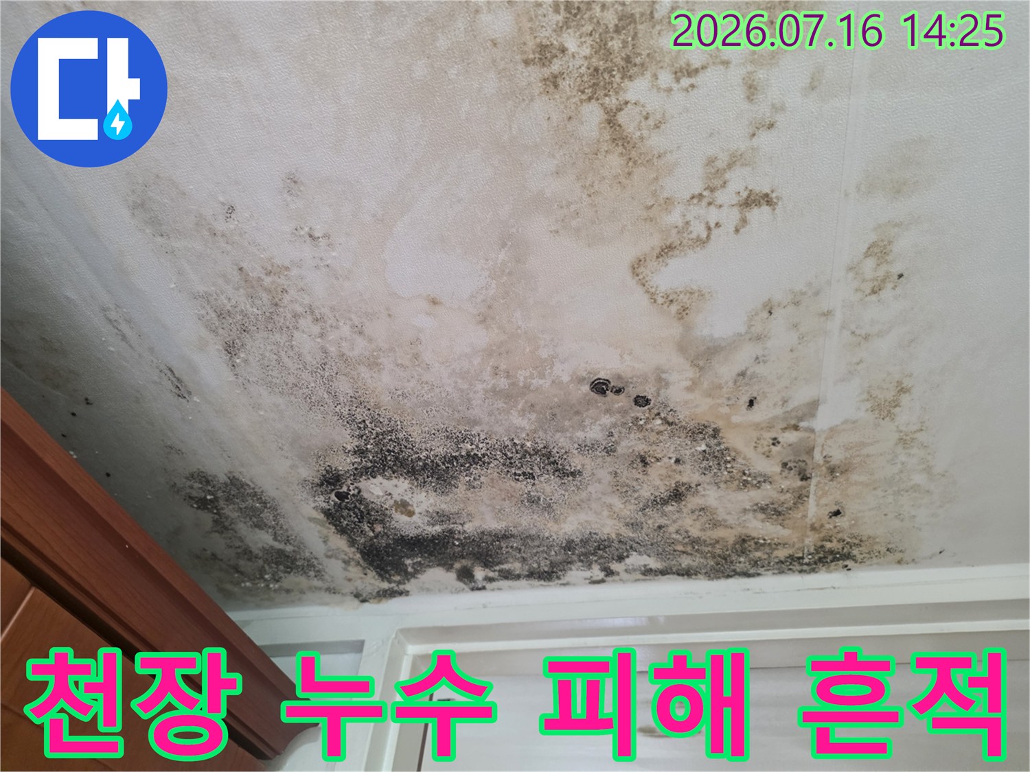 곰팡이와 습기로 변색된 천장 마감면