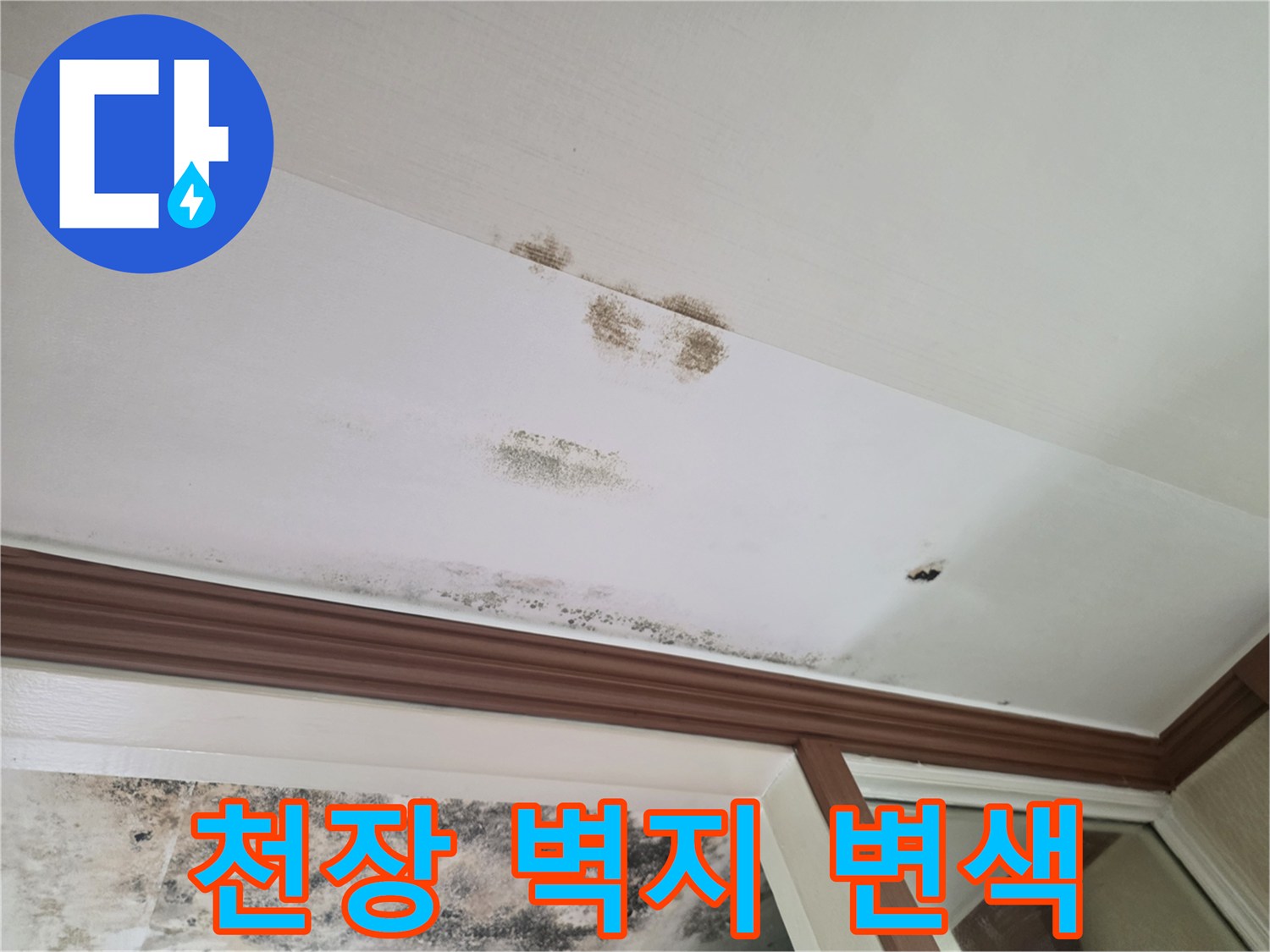습기로 인해 변색된 천장 도배지 상태