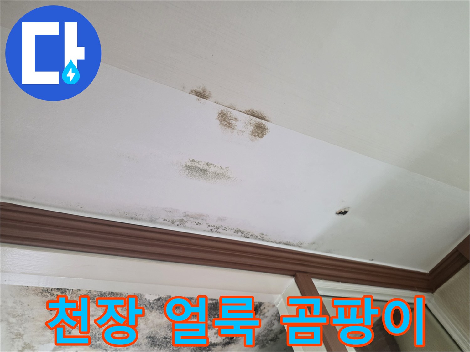 습기로-인해-오염된-천장-벽지의-곰팡이-흔적