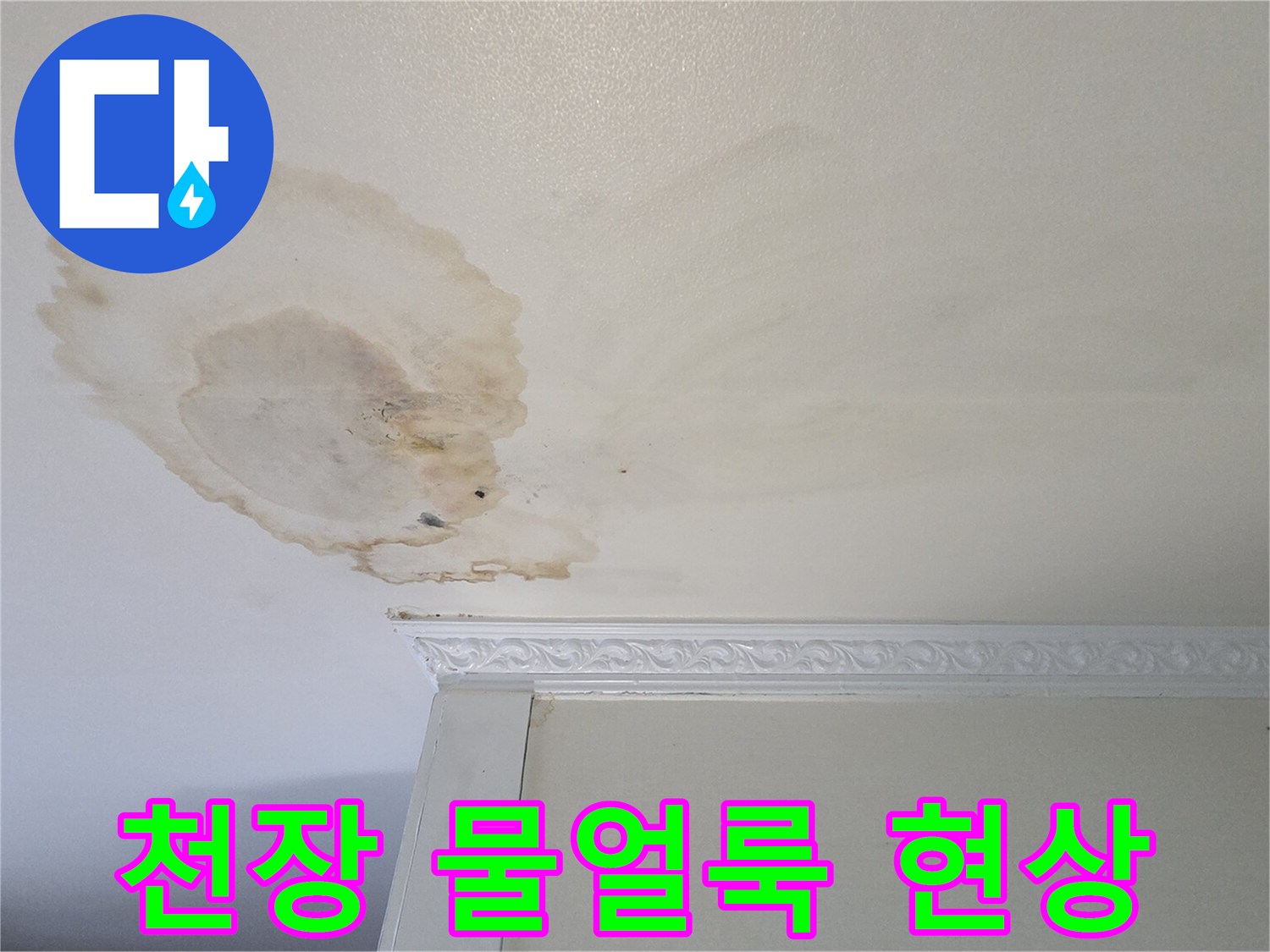 화장실-천장에-발생한-넓은-물자국-및-얼룩-상태