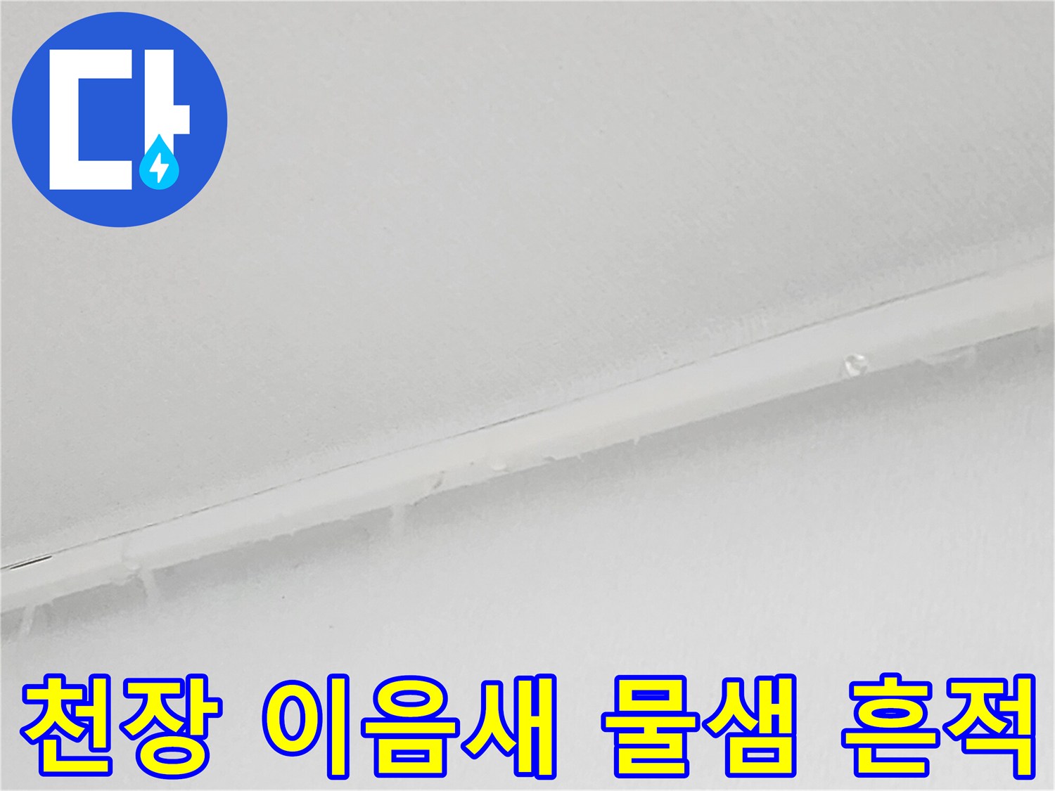 천장 마감재 경계 - 습기로 인해 젖어있는 천장 틈새 부위