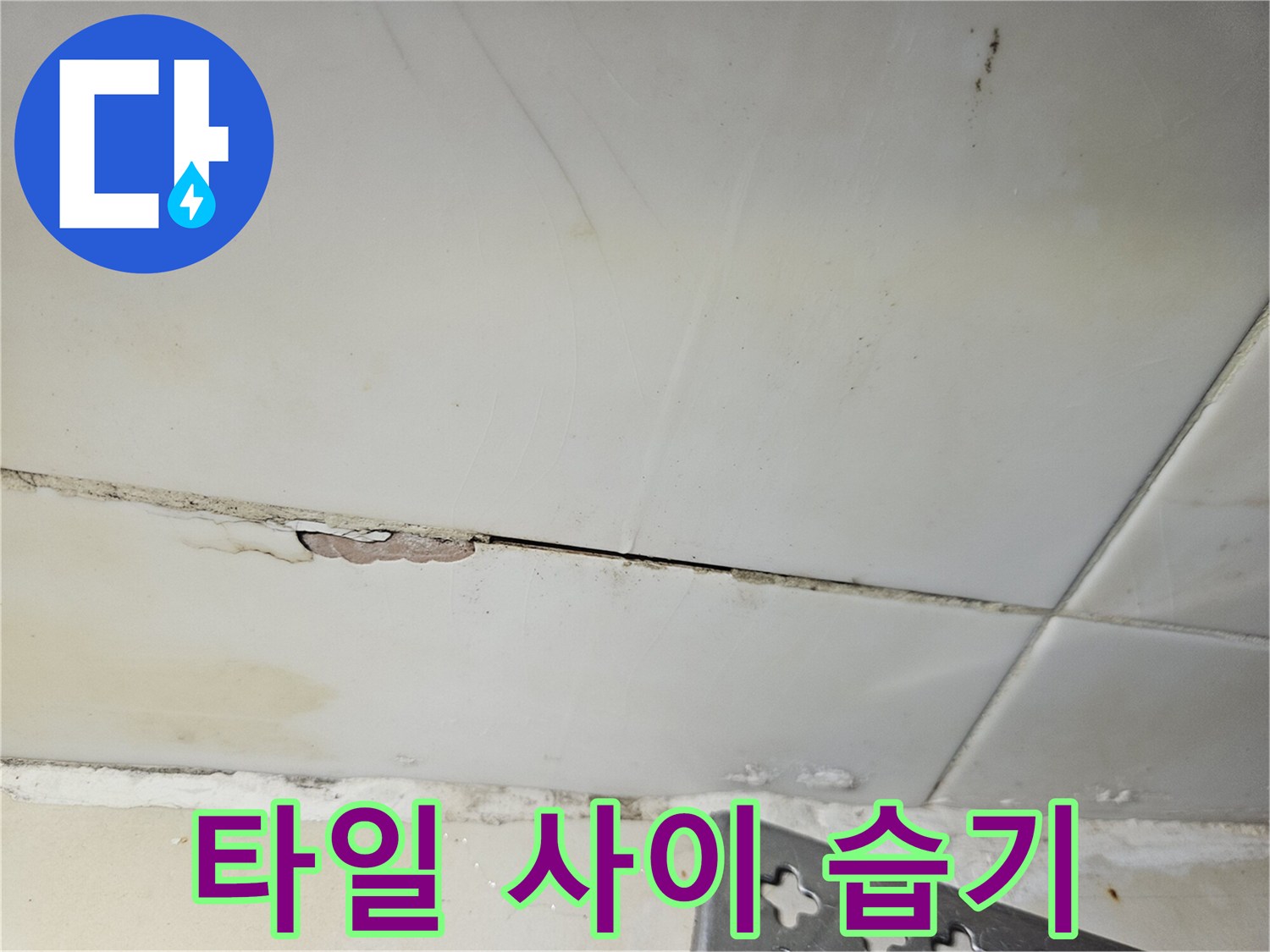 물기에-젖은-화장실-타일-틈새