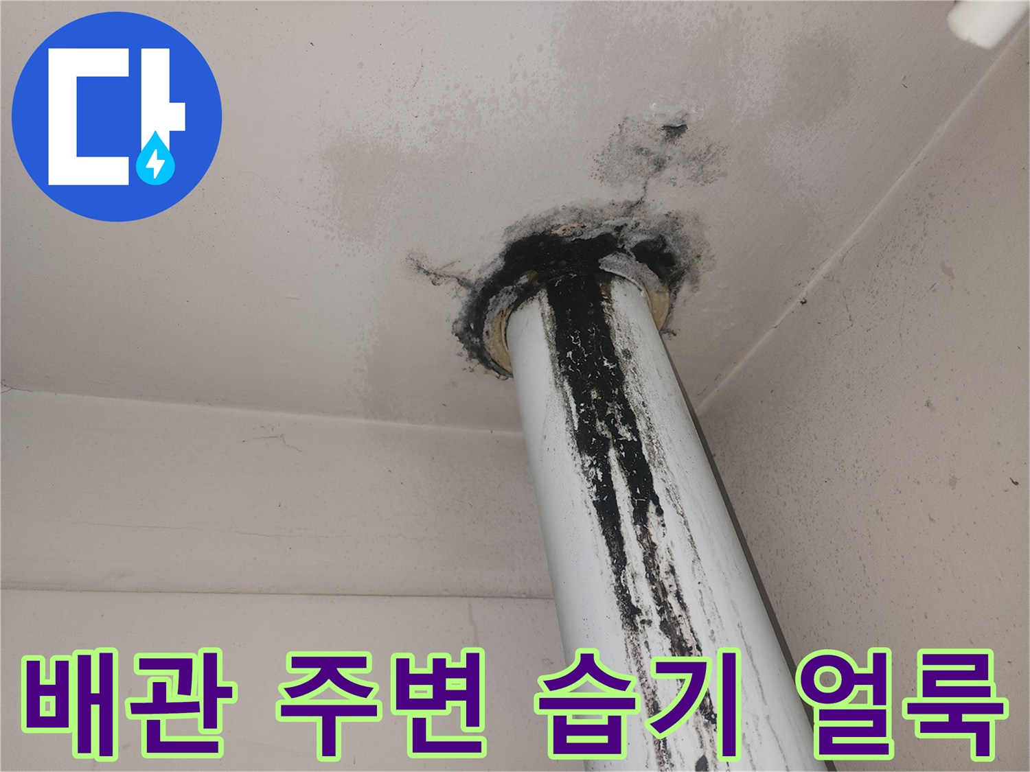 배관 접합부-곰팡이가 발생한 천장 마감재