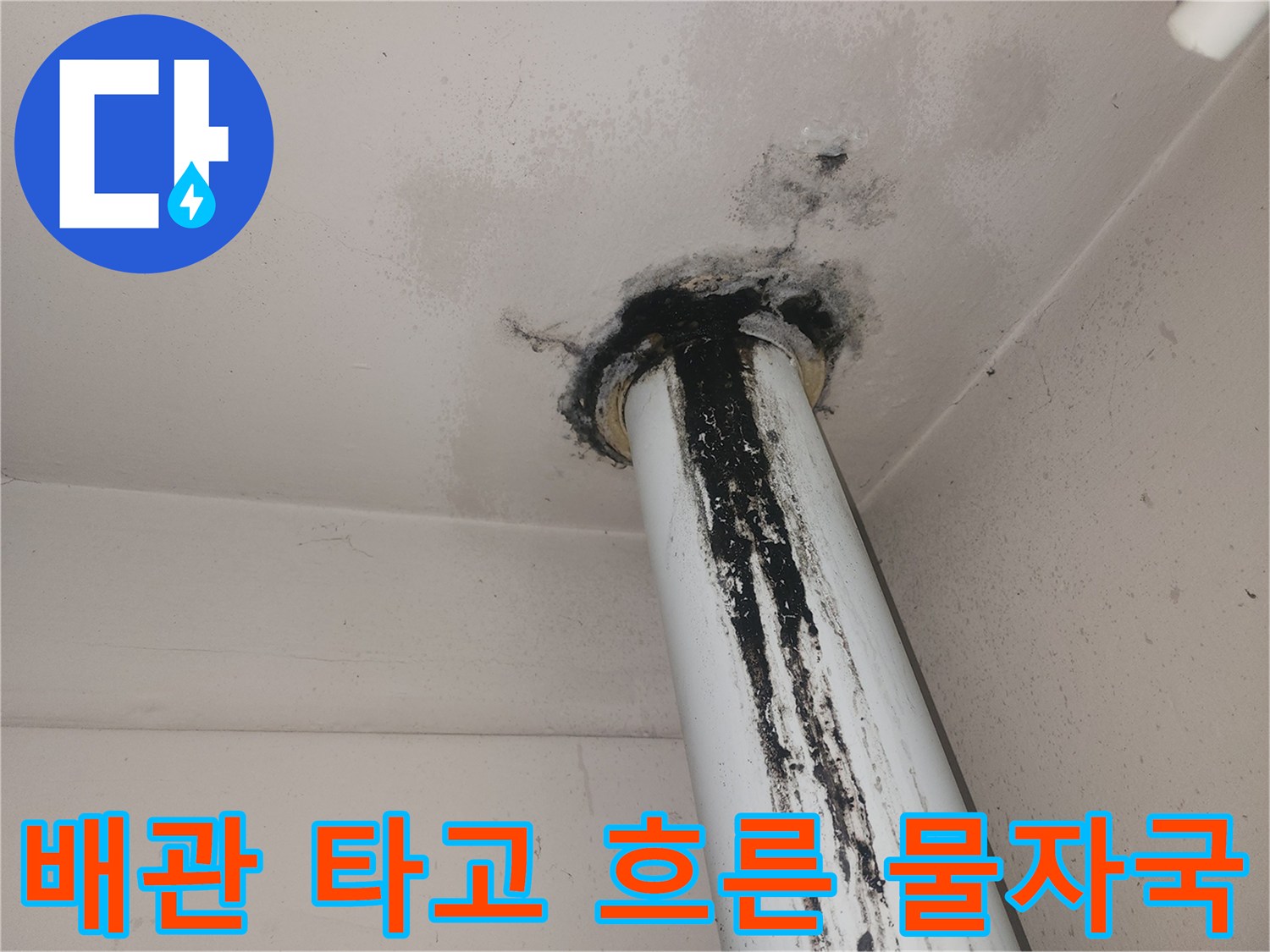 수직 배관-표면의 검은색 오염 및 곰팡이 자국