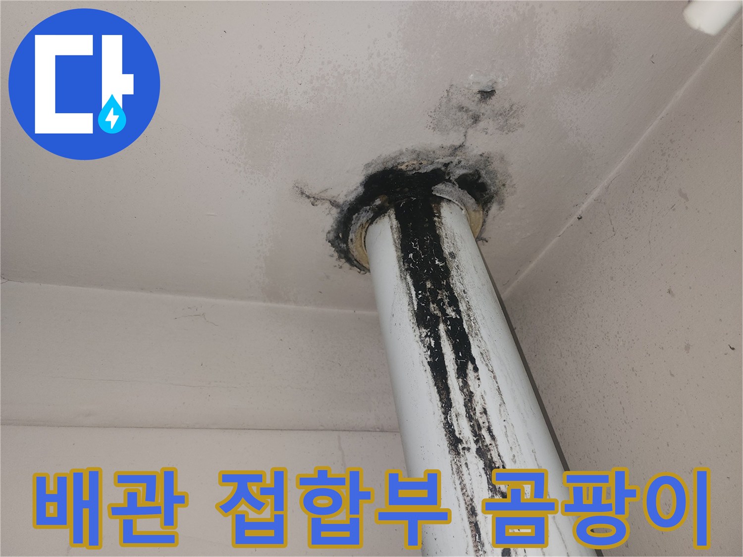천장 배관-심한 곰팡이와 물때 흔적