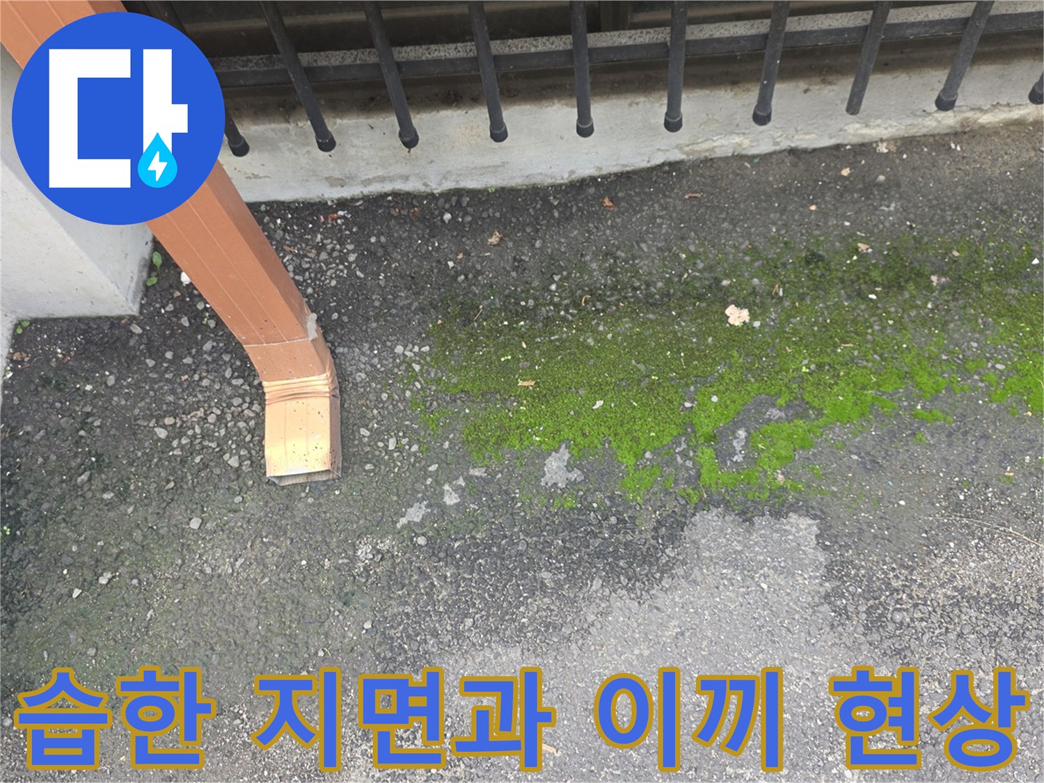 외부 우수관-지면 습기 정체 구간