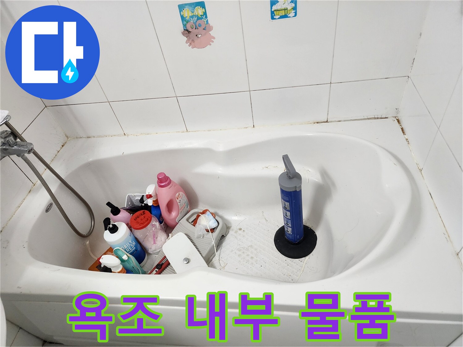 욕조 안에 정리된 세정제와 청소 도구들