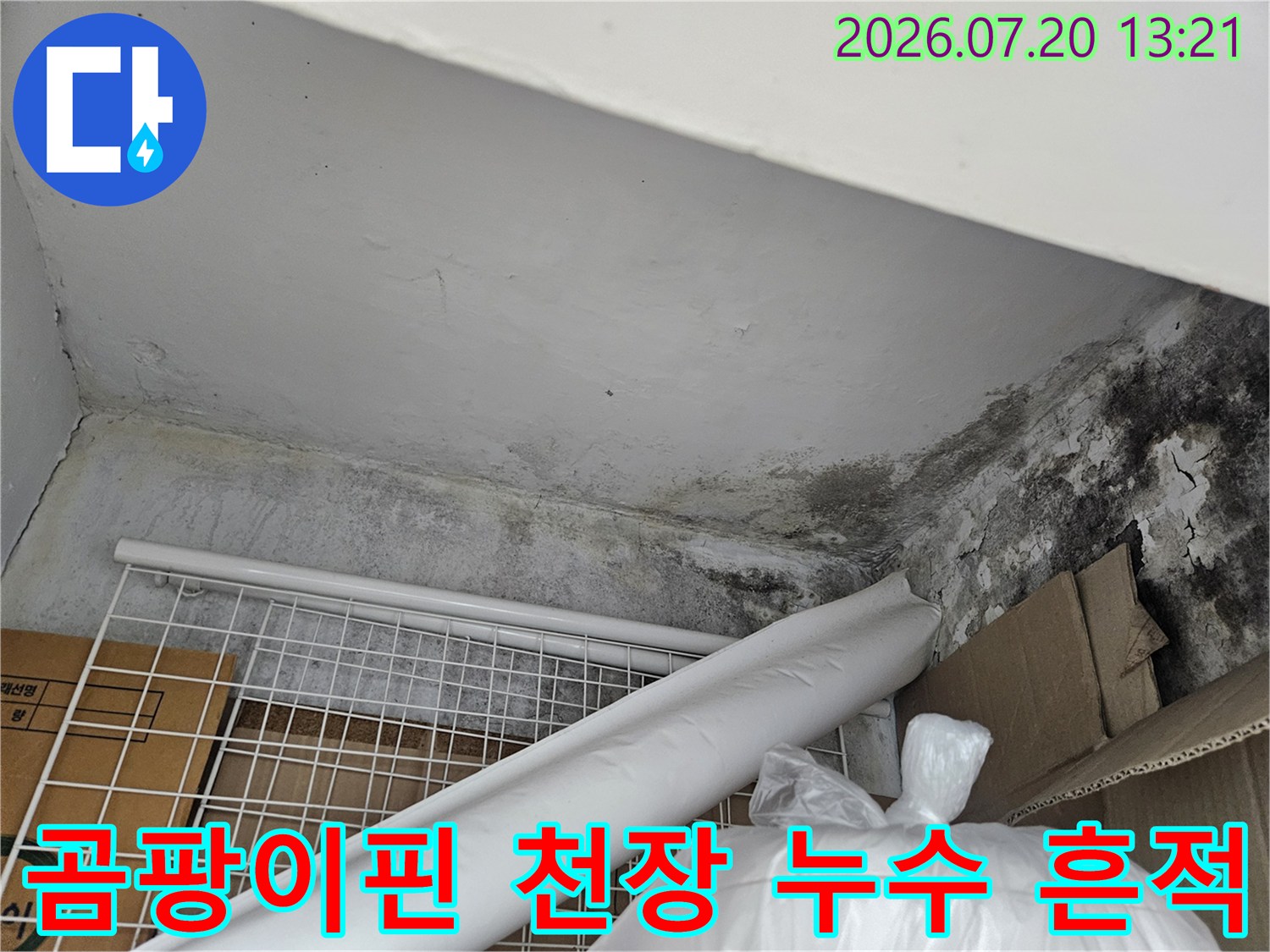 누수로 인해 곰팡이가 발생한 아파트 천장과 벽면의 오염 상태