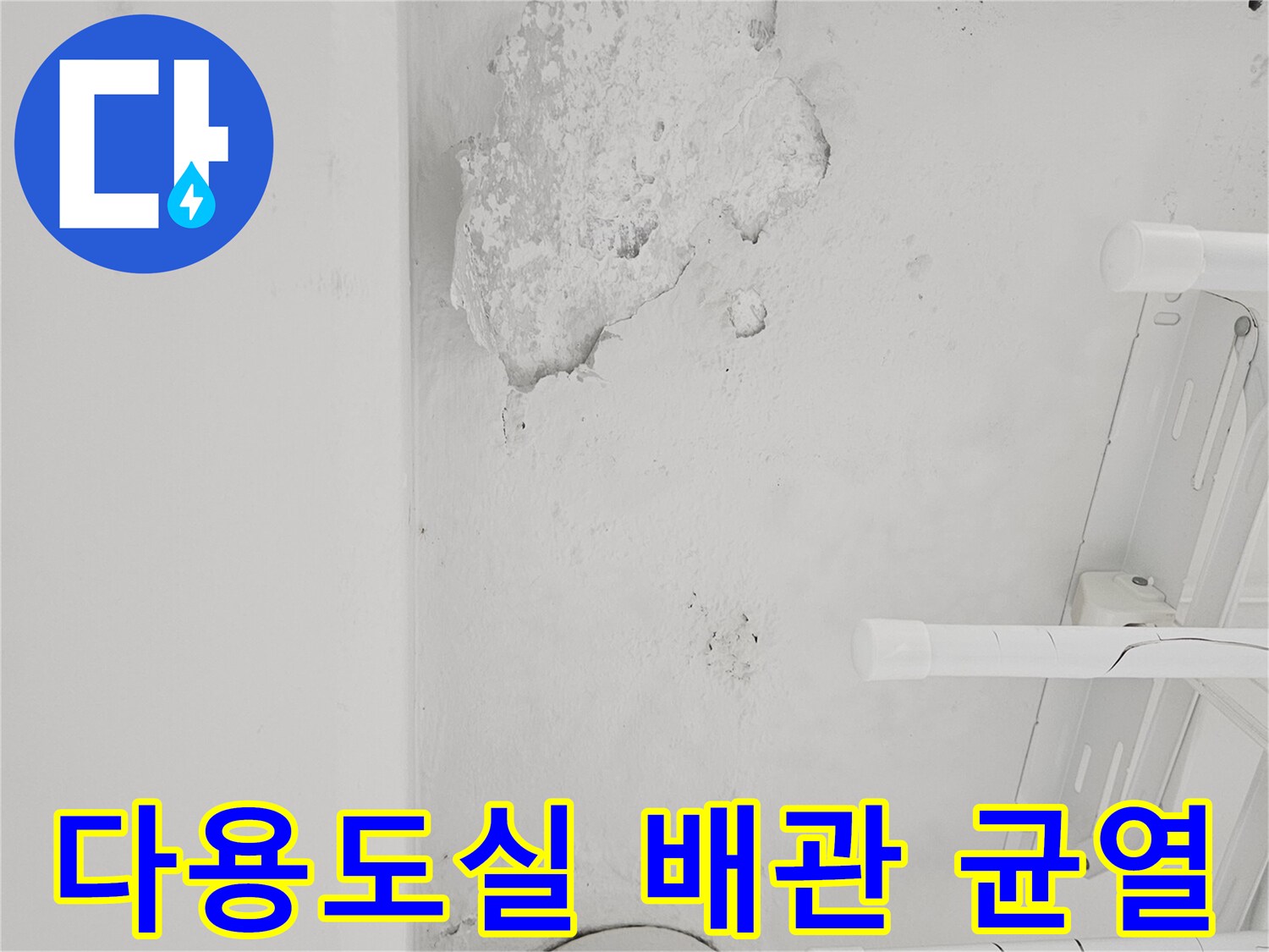 다용도실-하수관-주변-벽면-균열-및-습기-상태