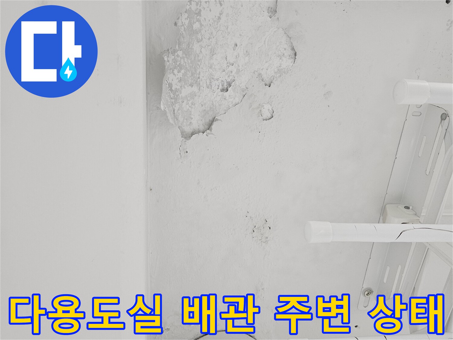 도봉구 다용도실-하수관 주변의 습기와 벽면 탈락 현상