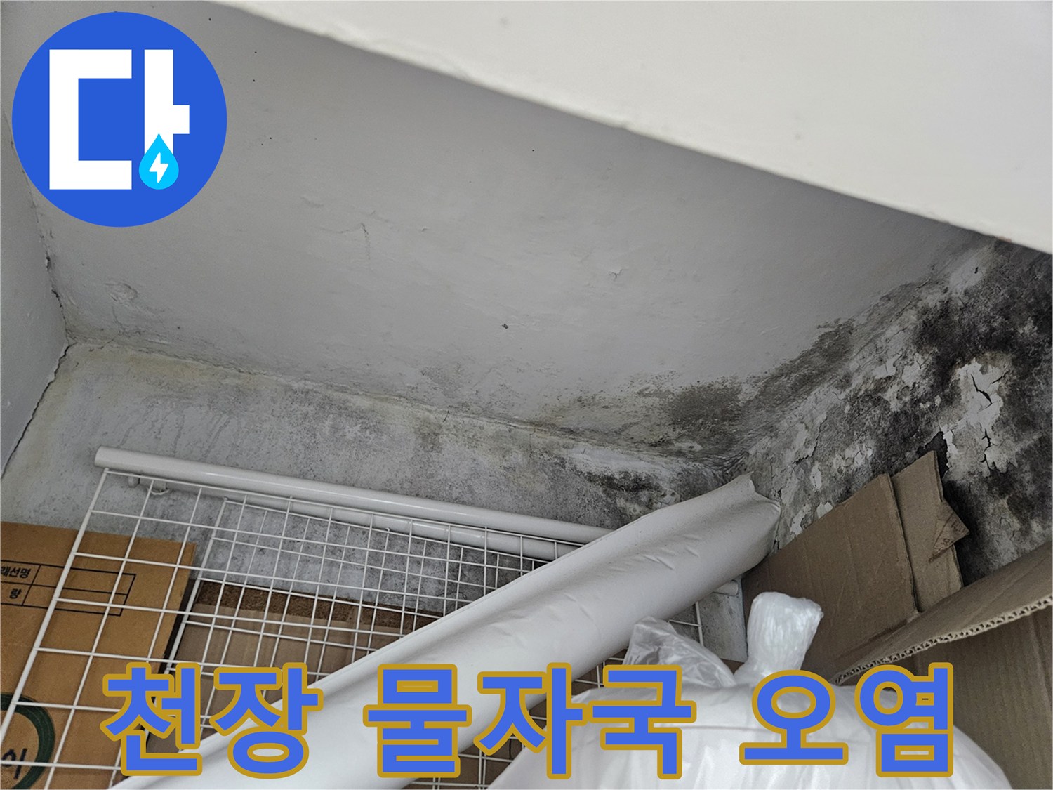 물샘으로 인해 발생한 천장 마감재의 곰팡이와 얼룩