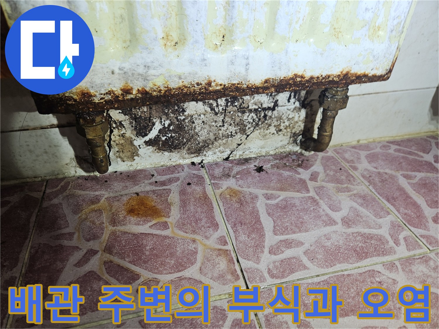 세탁기 배관 연결부-부식 및 벽면 곰팡이 현황