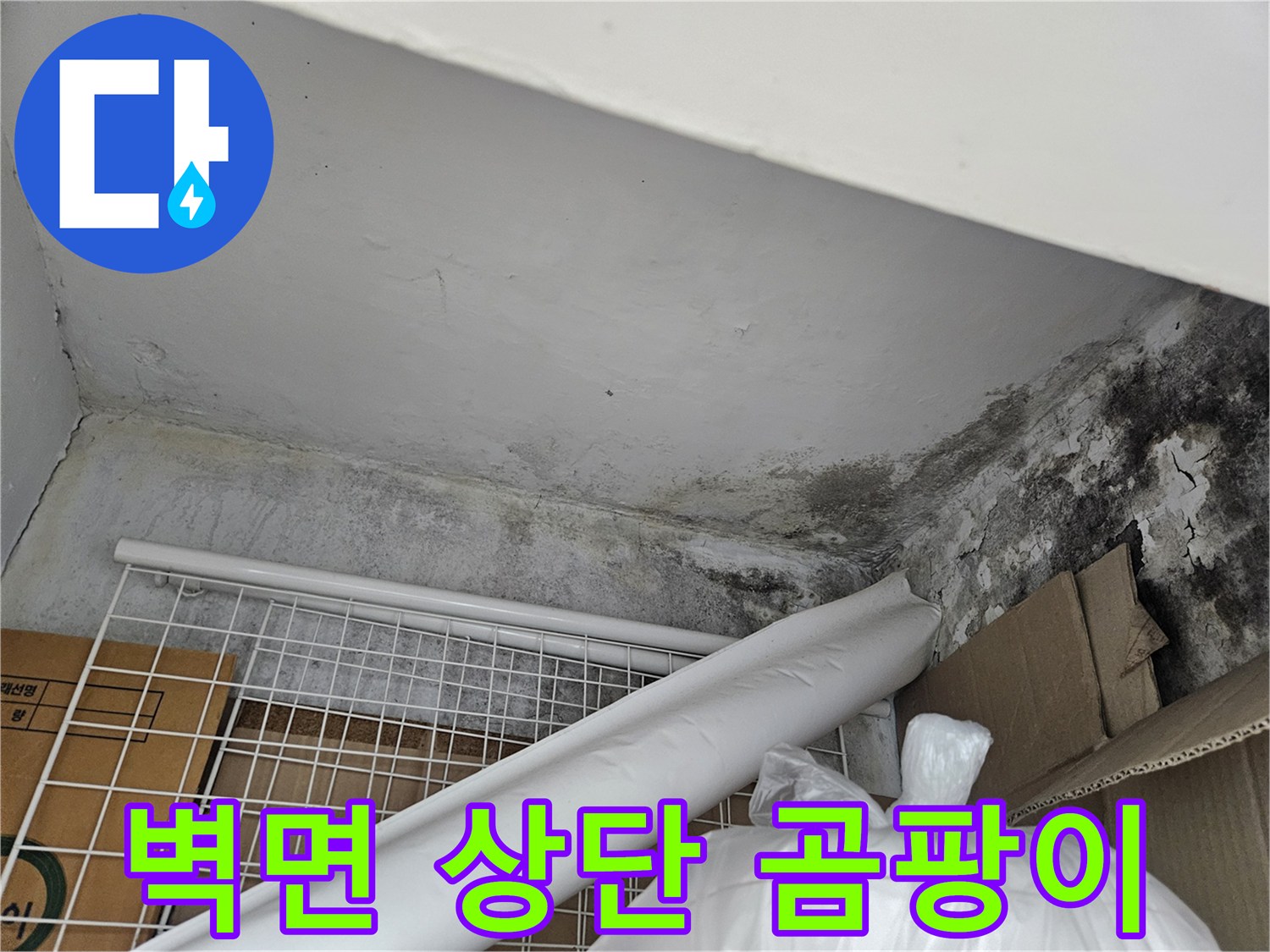 천장-경계-라인을-따라-번진-곰팡이와-물때
