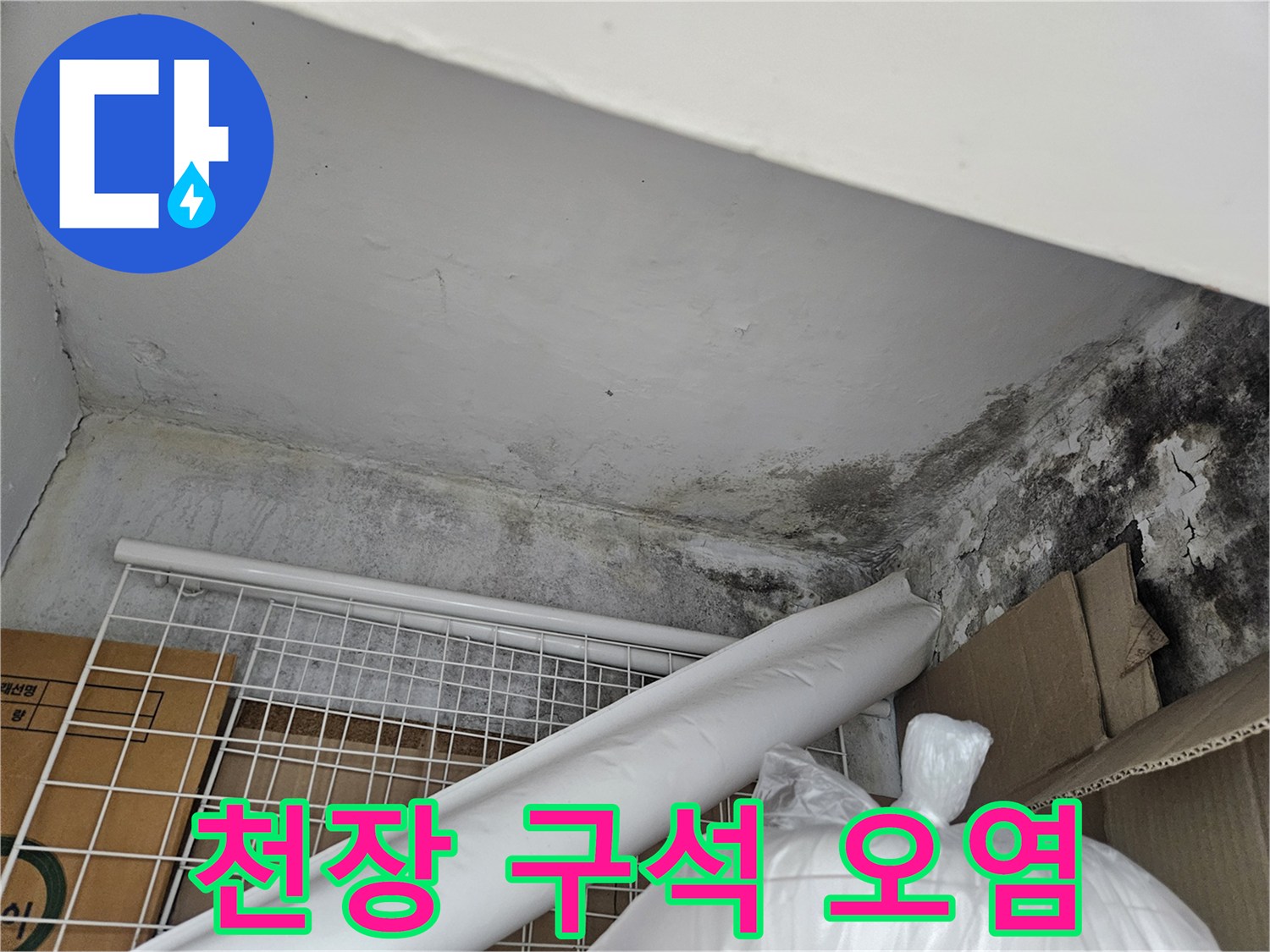천장-구석진-모서리-부분의-검은색-오염물질