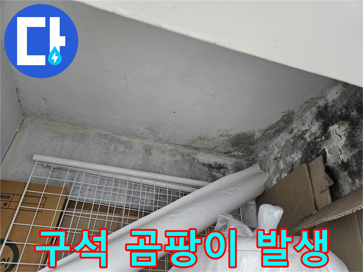 천장-모서리-부분의-심한-검은색-곰팡이-상태