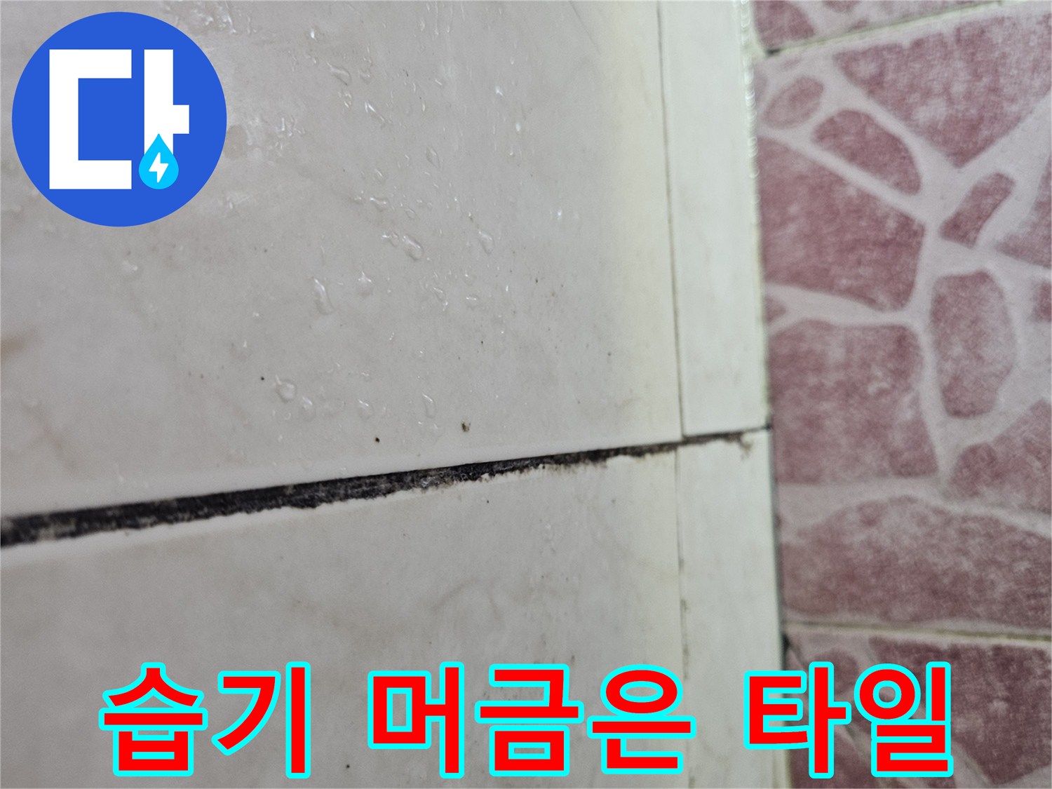 타일-줄눈-틈새의-물기-및-검은색-오염