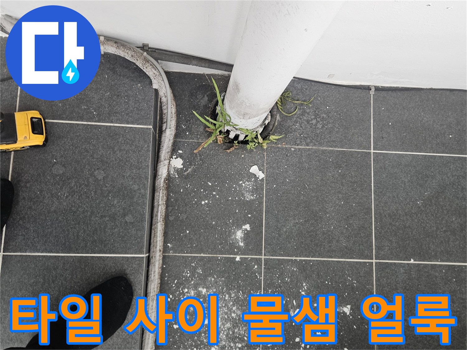 하수구 배관 주변의 젖은 타일과 백화 현상 사진