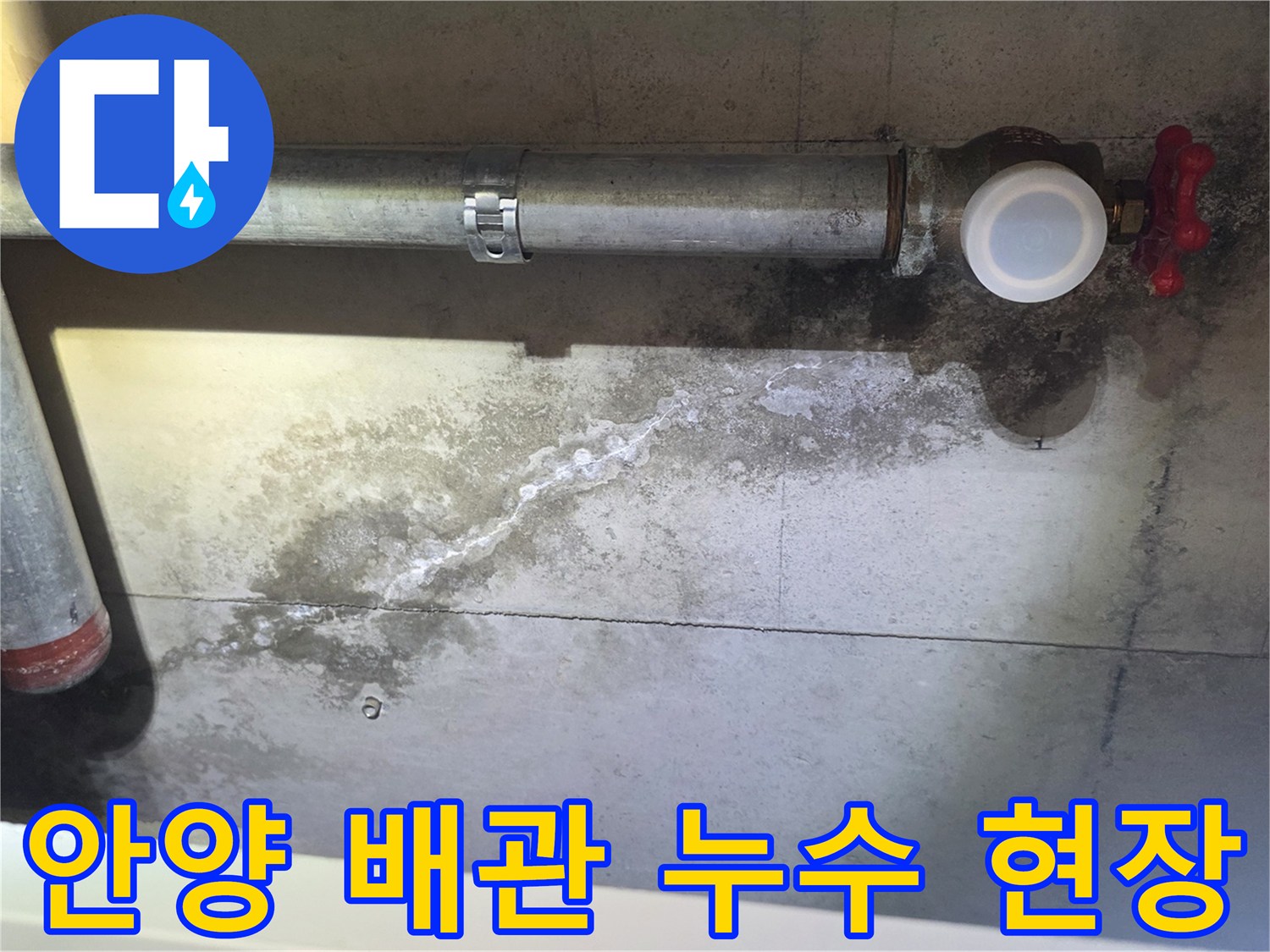 안양 비산동 건물 천장 배관 주변의 백화 현상과 습기 상태