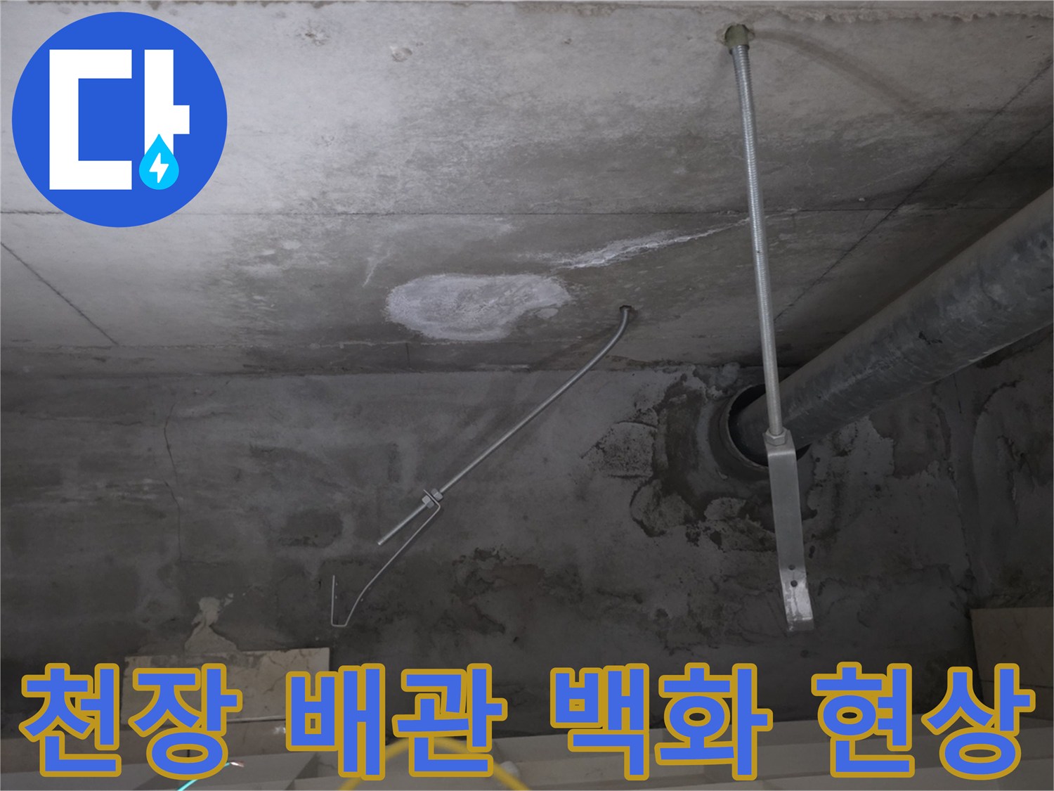 안양 비산동 화장실 천장-배관 주변에 하얀 석회 가루가 맺힌 상태입니다.