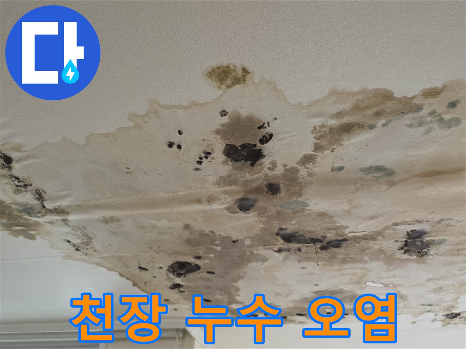 누수로-오염되어-검게-변한-아파트-천장